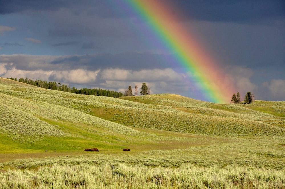 Arco iris cerca de las cordilleras de hierba verde