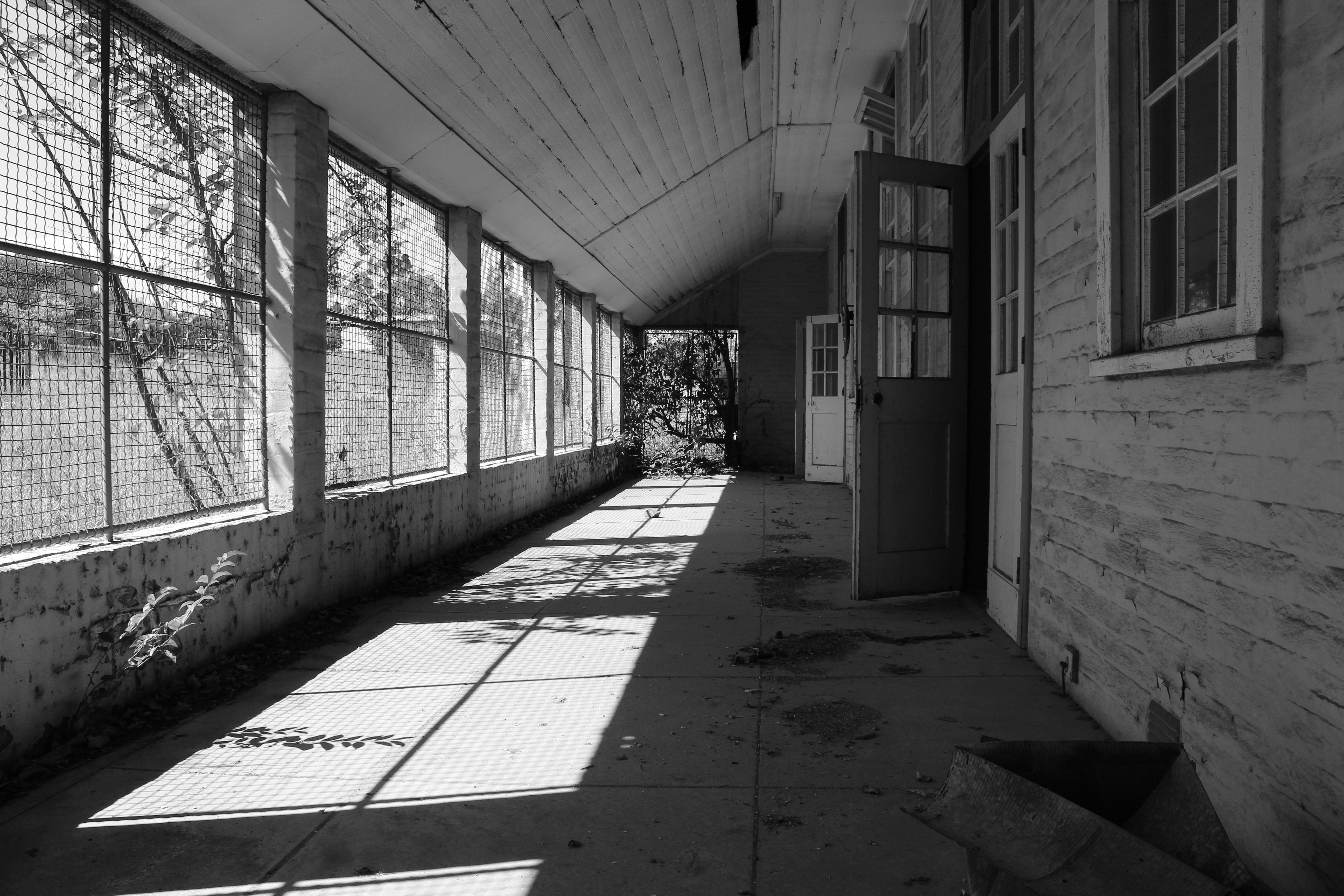 Free Unsplash photo from William Nettmann