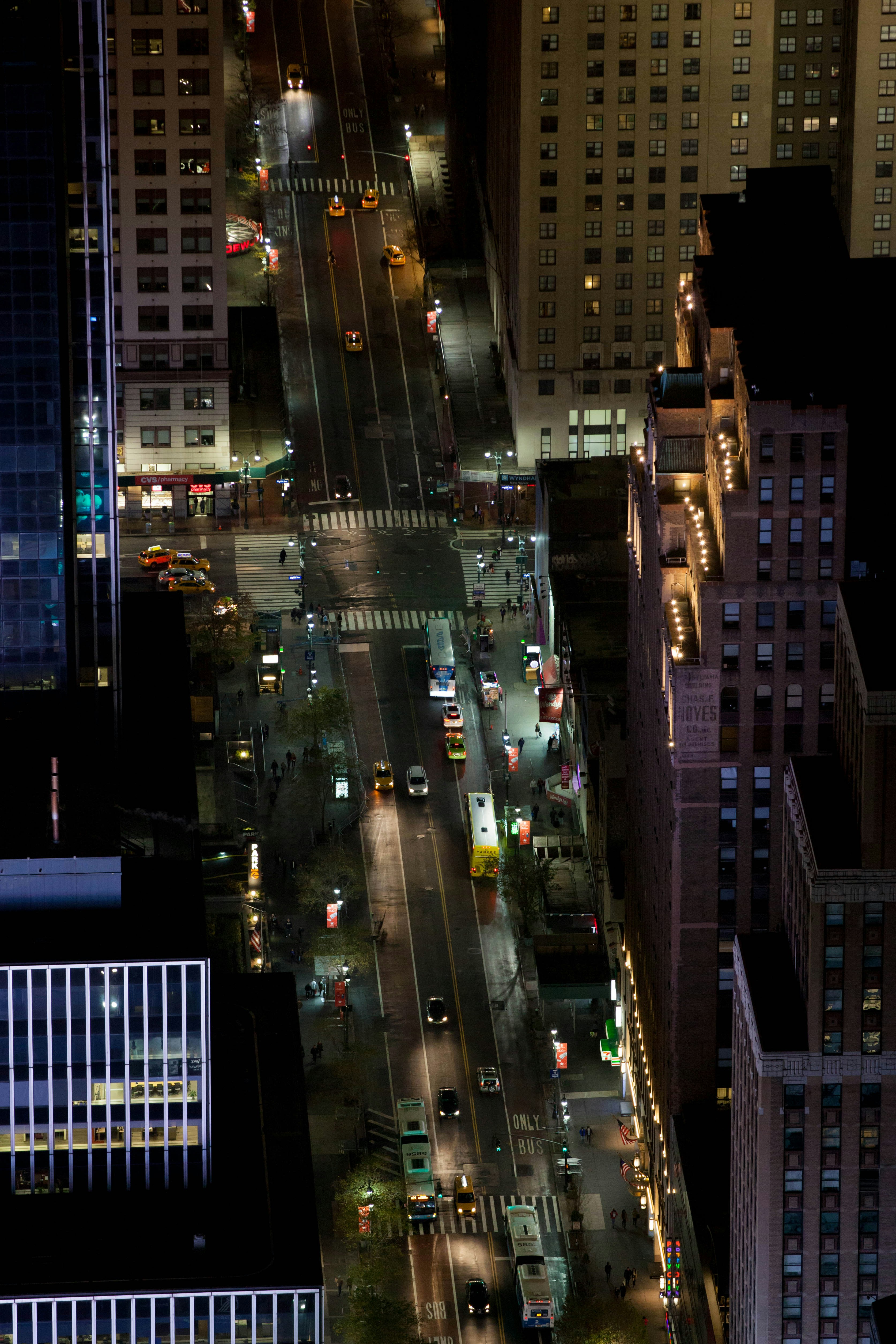 Free Unsplash photo from Ivan Bertona