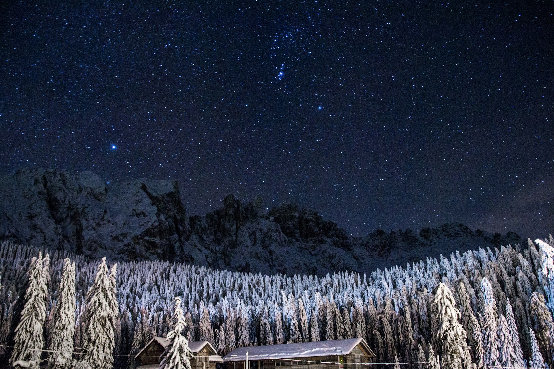 Forêt dense de pins Molika, une espèce endémique rare du massif montagneux du Pelister