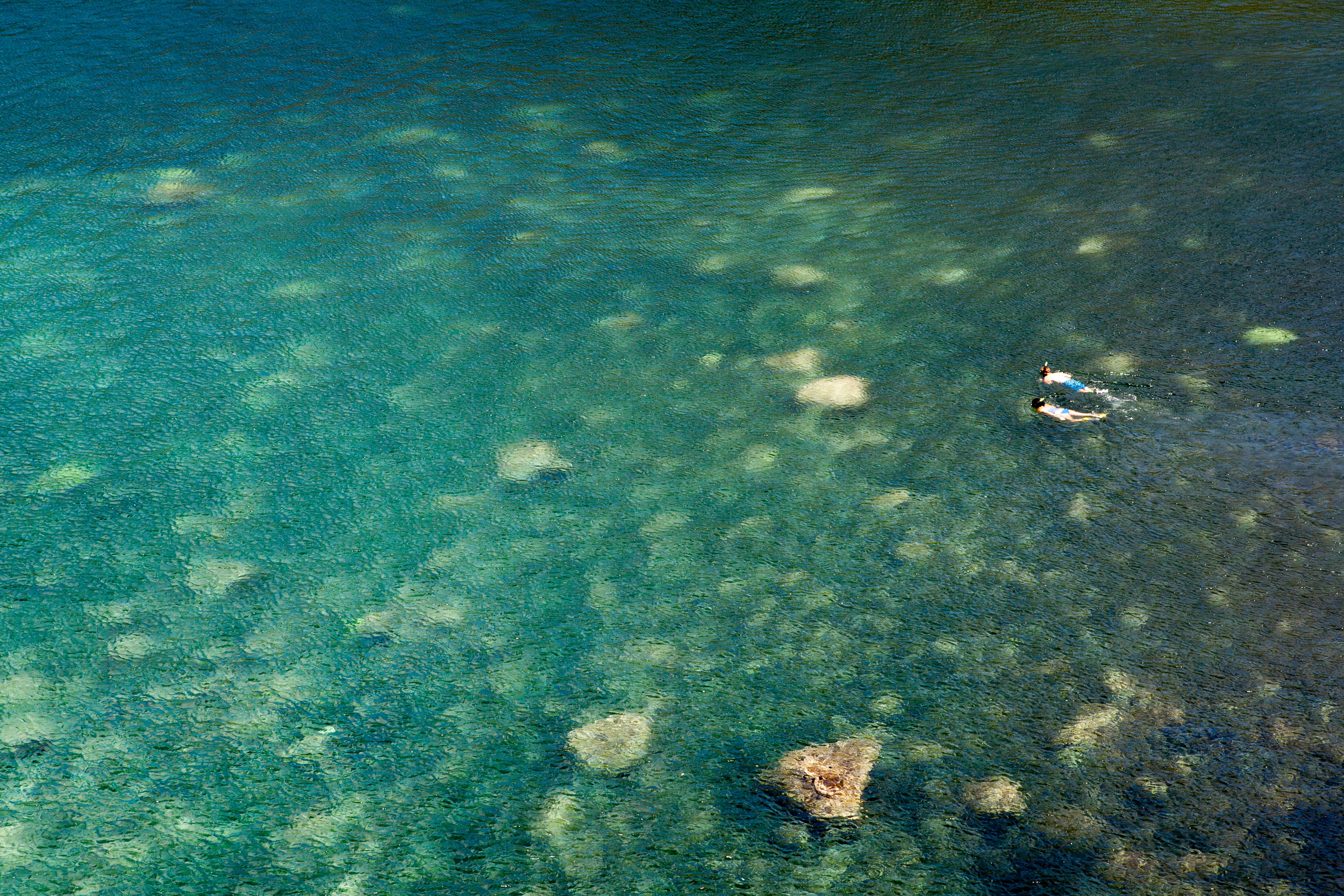 Free Unsplash photo from Ivan Bertona