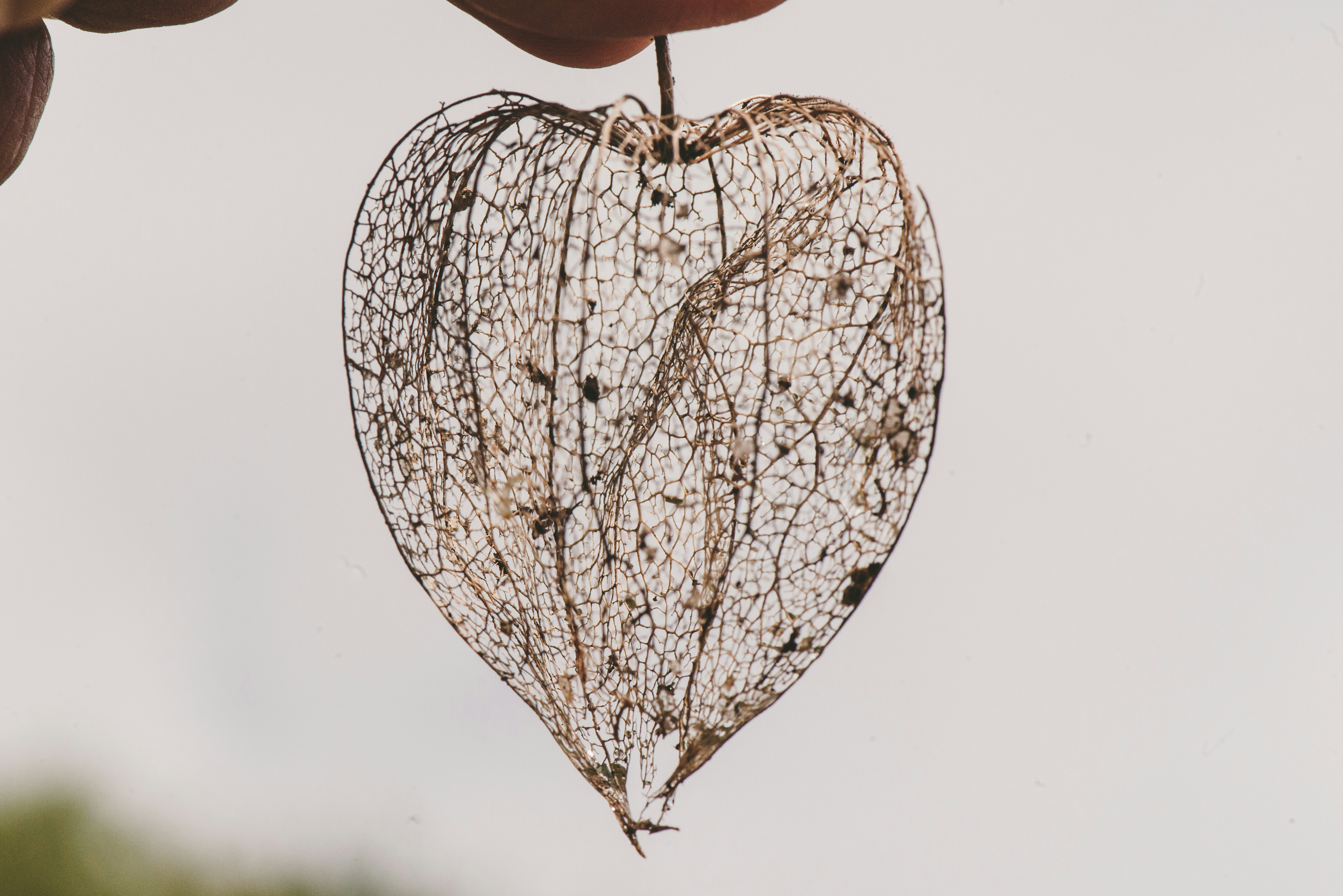 Free Unsplash photo from Magicphil Montes