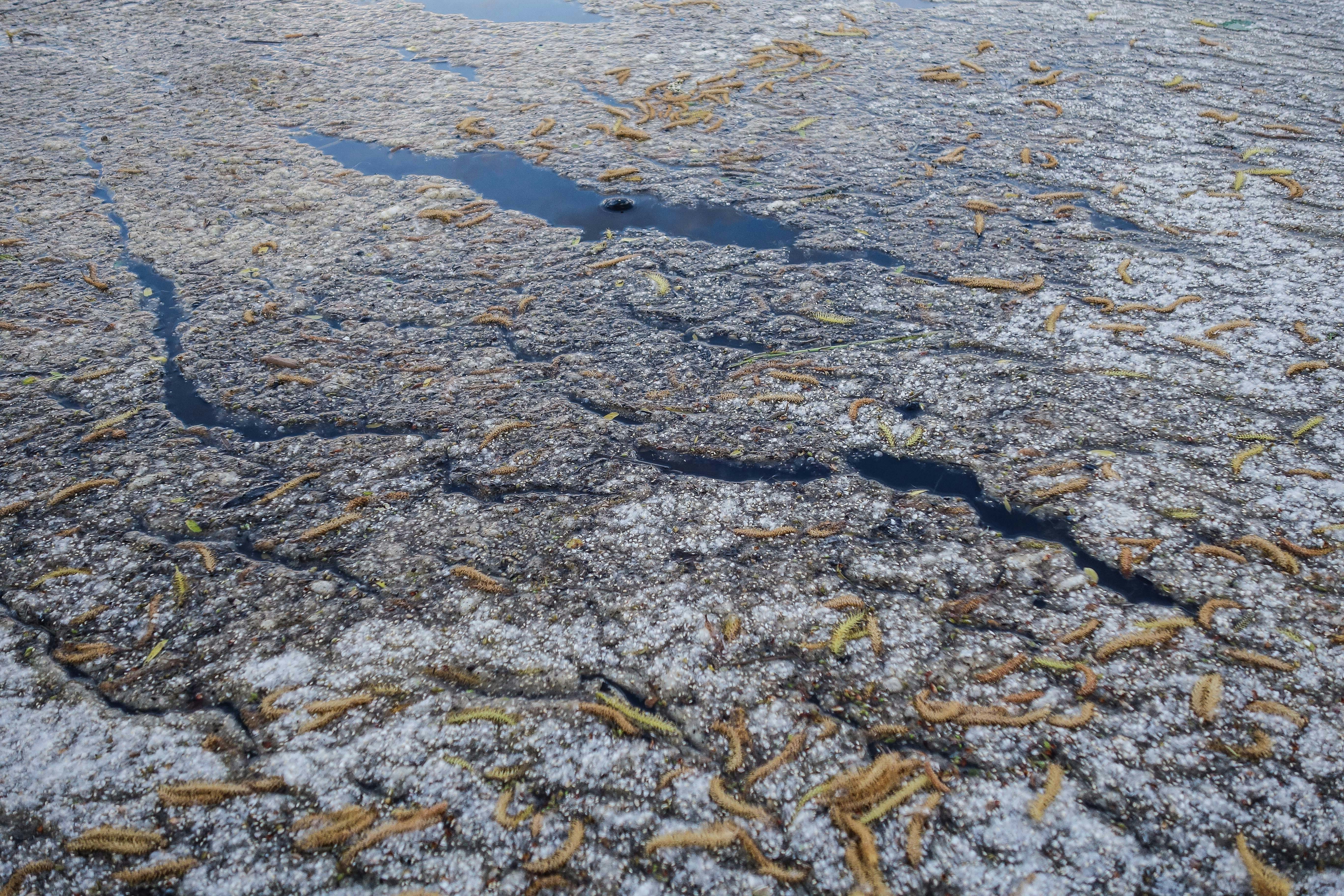 Free Unsplash photo from Magicphil Montes