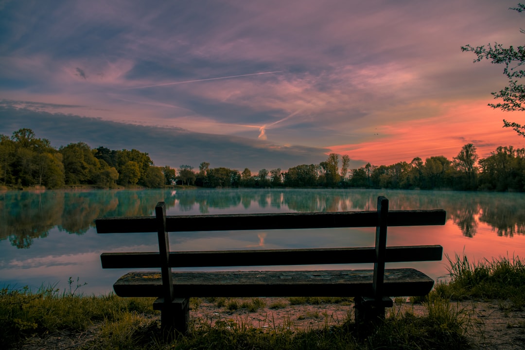 Nature reserve photo spot Niederwaldsee Seeheim-Jugenheim