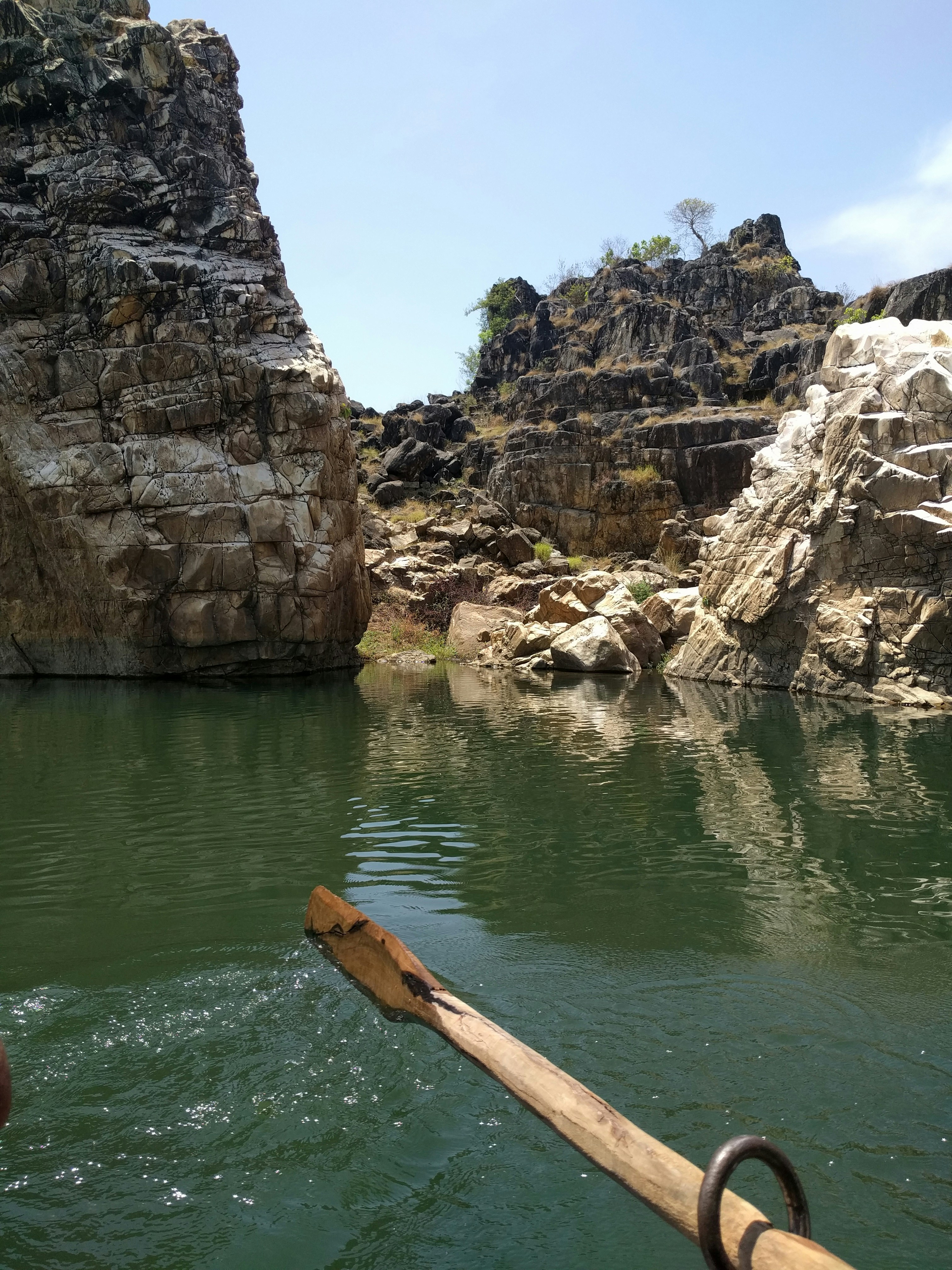 Free Unsplash photo from Riya Desai