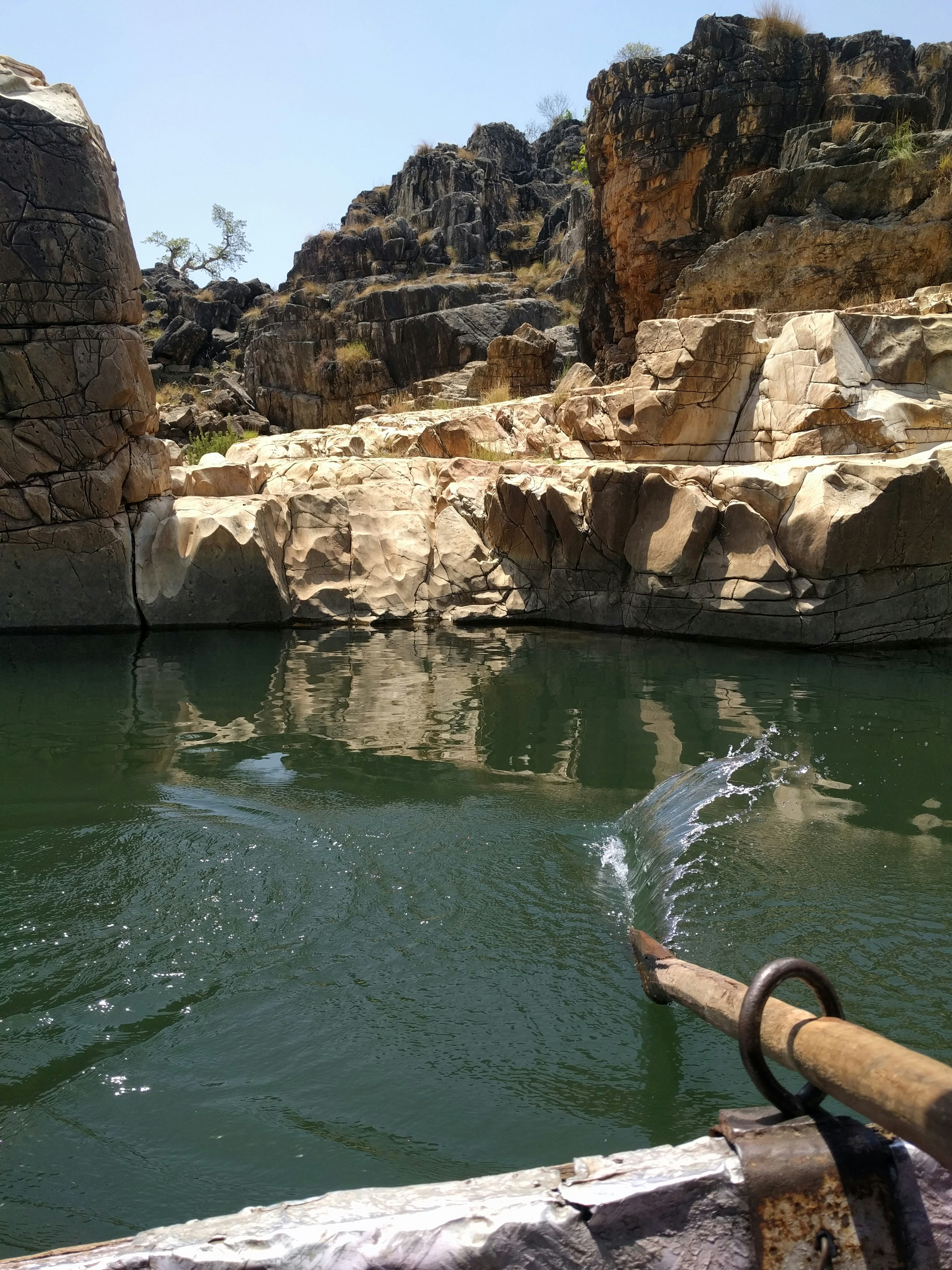 Free Unsplash photo from Riya Desai