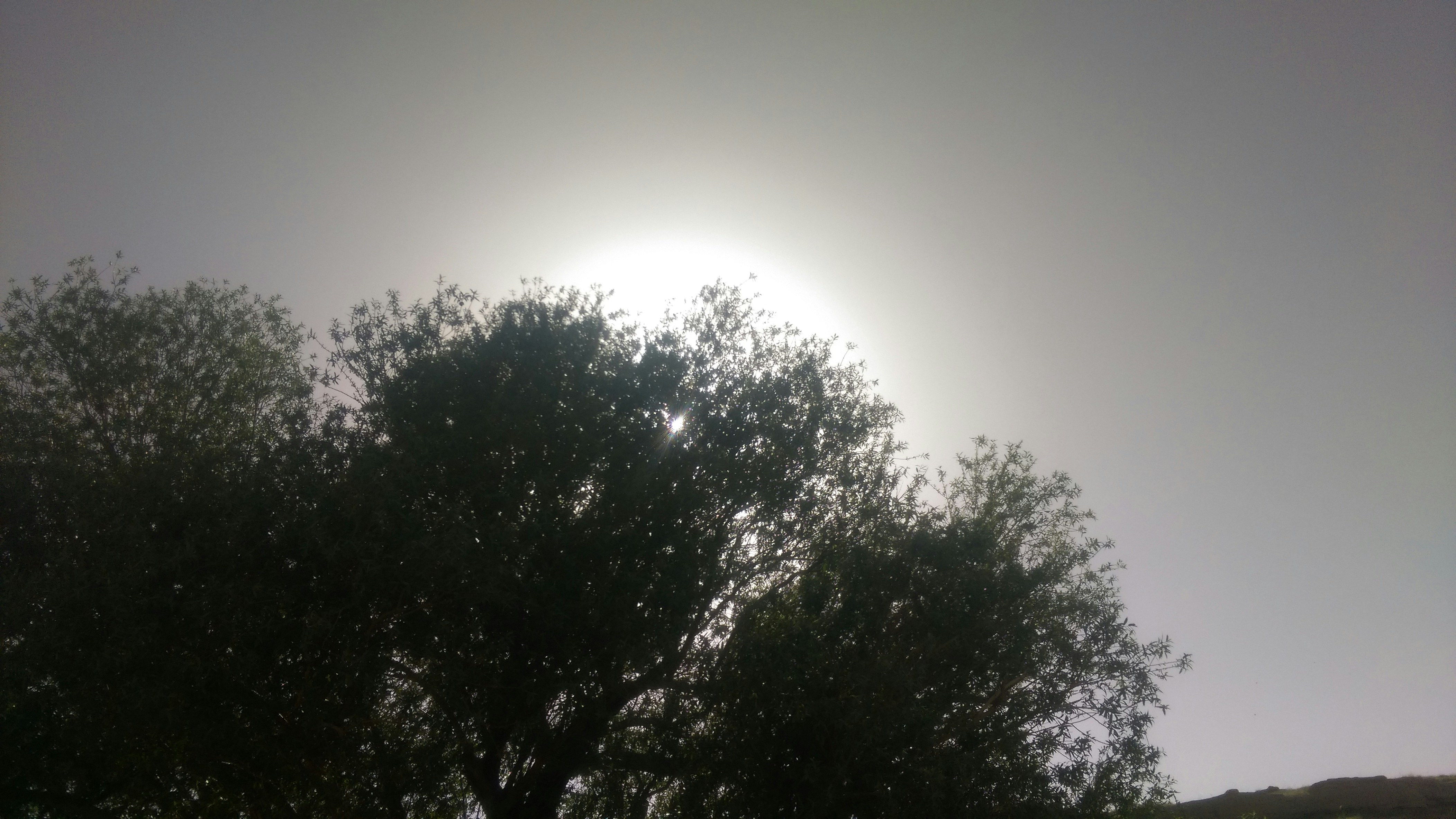 Free Unsplash photo from Amirhossein Eslami