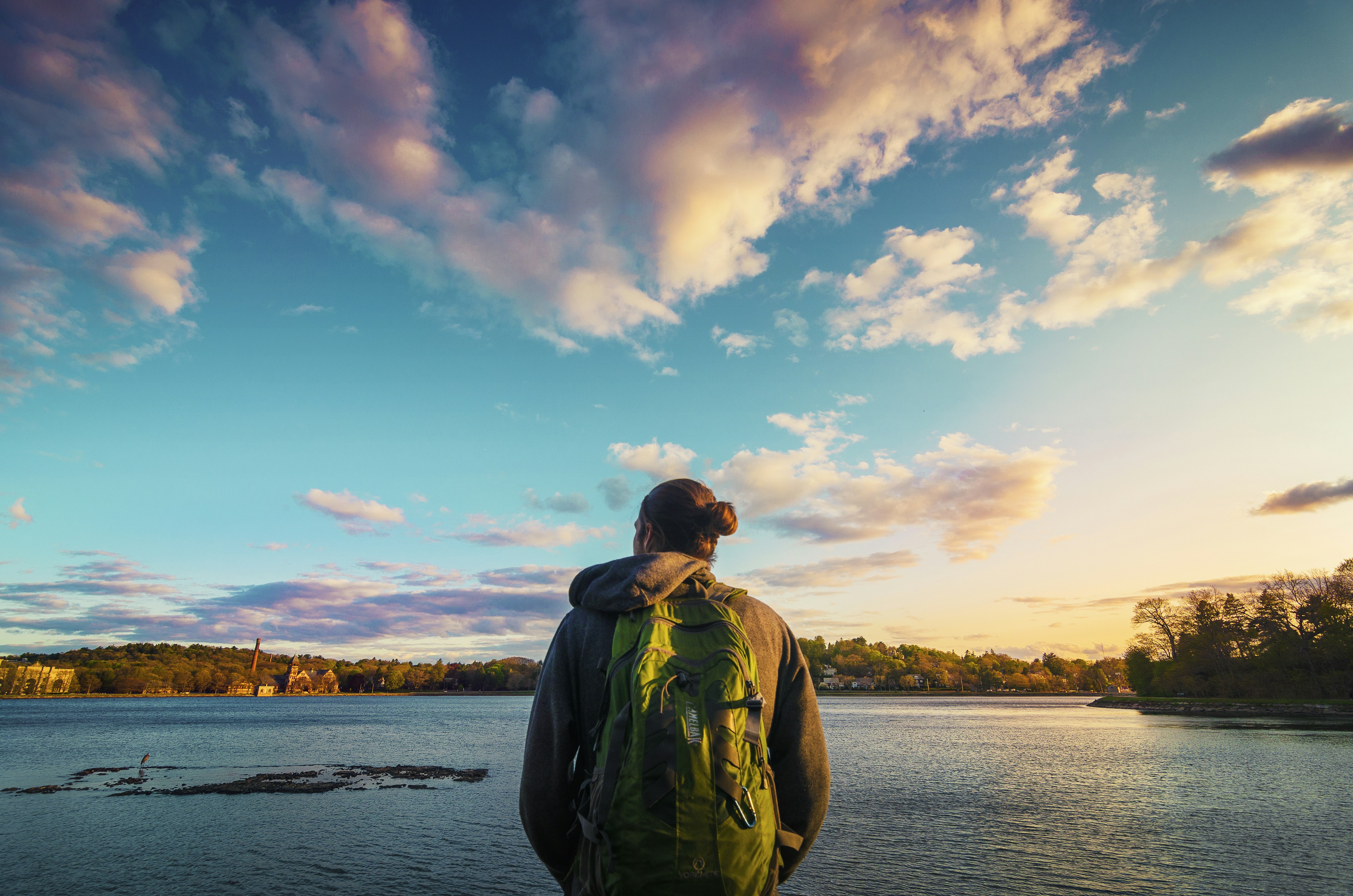 Free Unsplash photo from Qusai Akoud