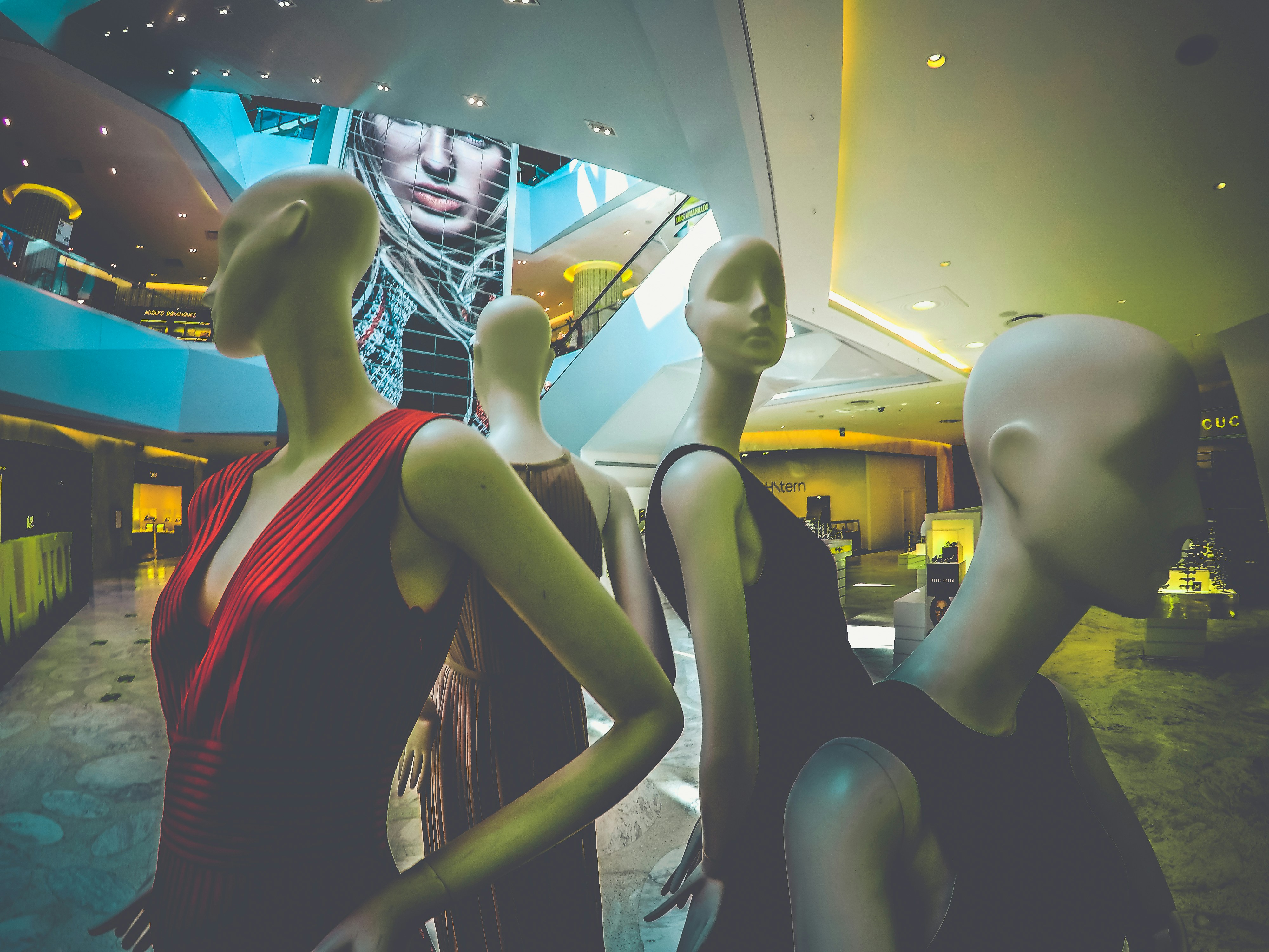 Trendy Fashion Essentials