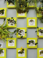 Wall-mounted pots displaying a variety of trailing plants adding life to an indoor wall.