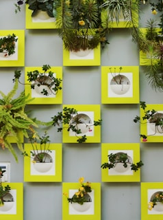 Wall-mounted pots displaying a variety of trailing plants adding life to an indoor wall.