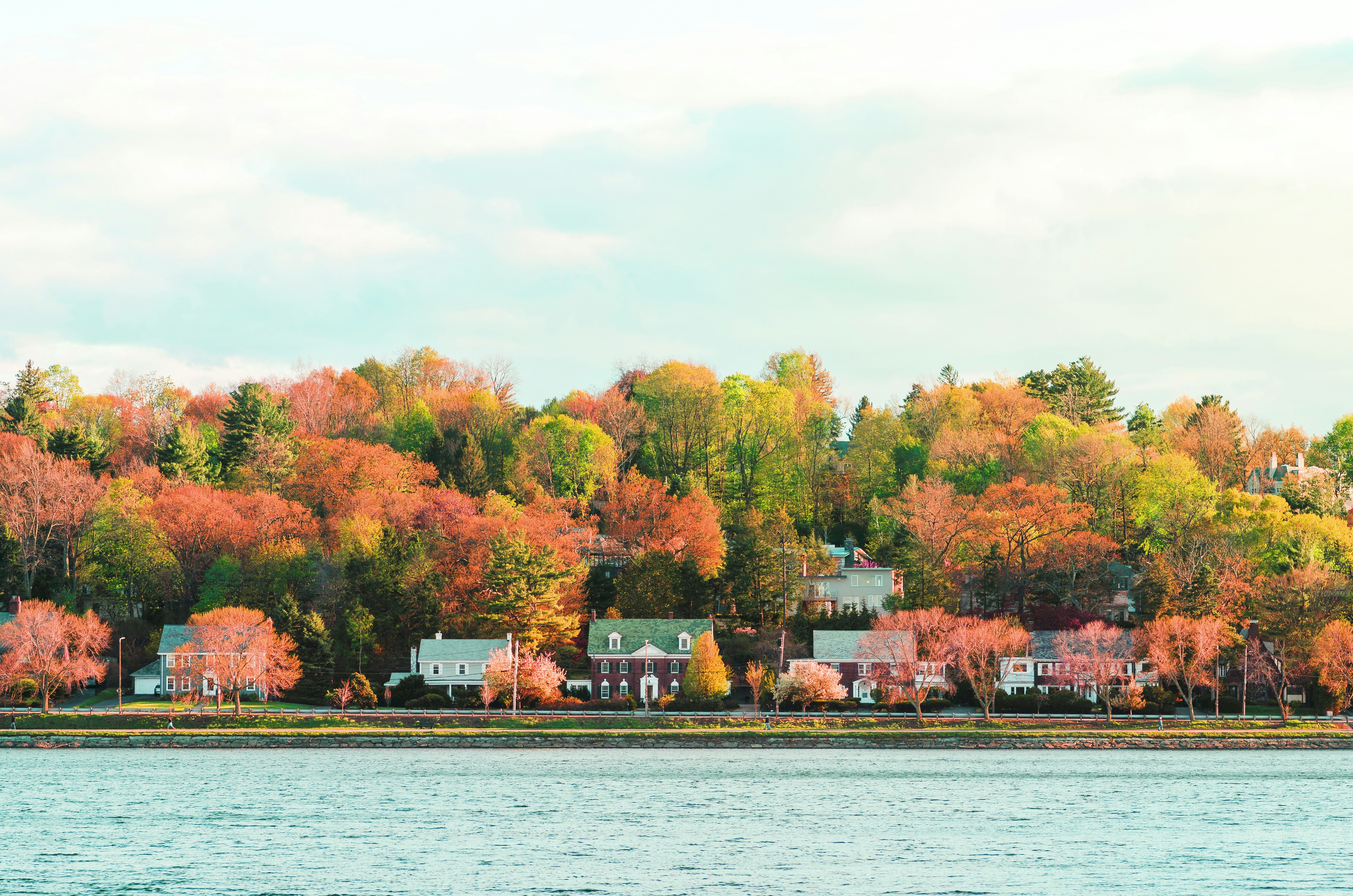 Free Unsplash photo from Qusai Akoud