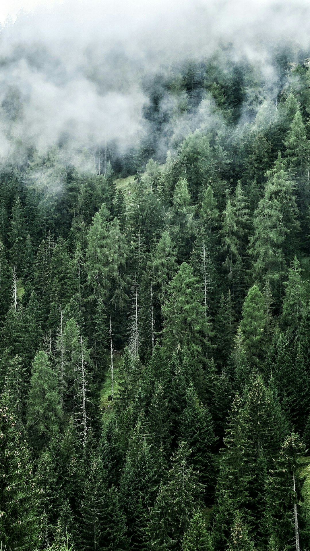 Ecoregion photo spot Bischoferalm Alpbach - Luxus Chalet Lodge Tirol / Alpbach Tyrol