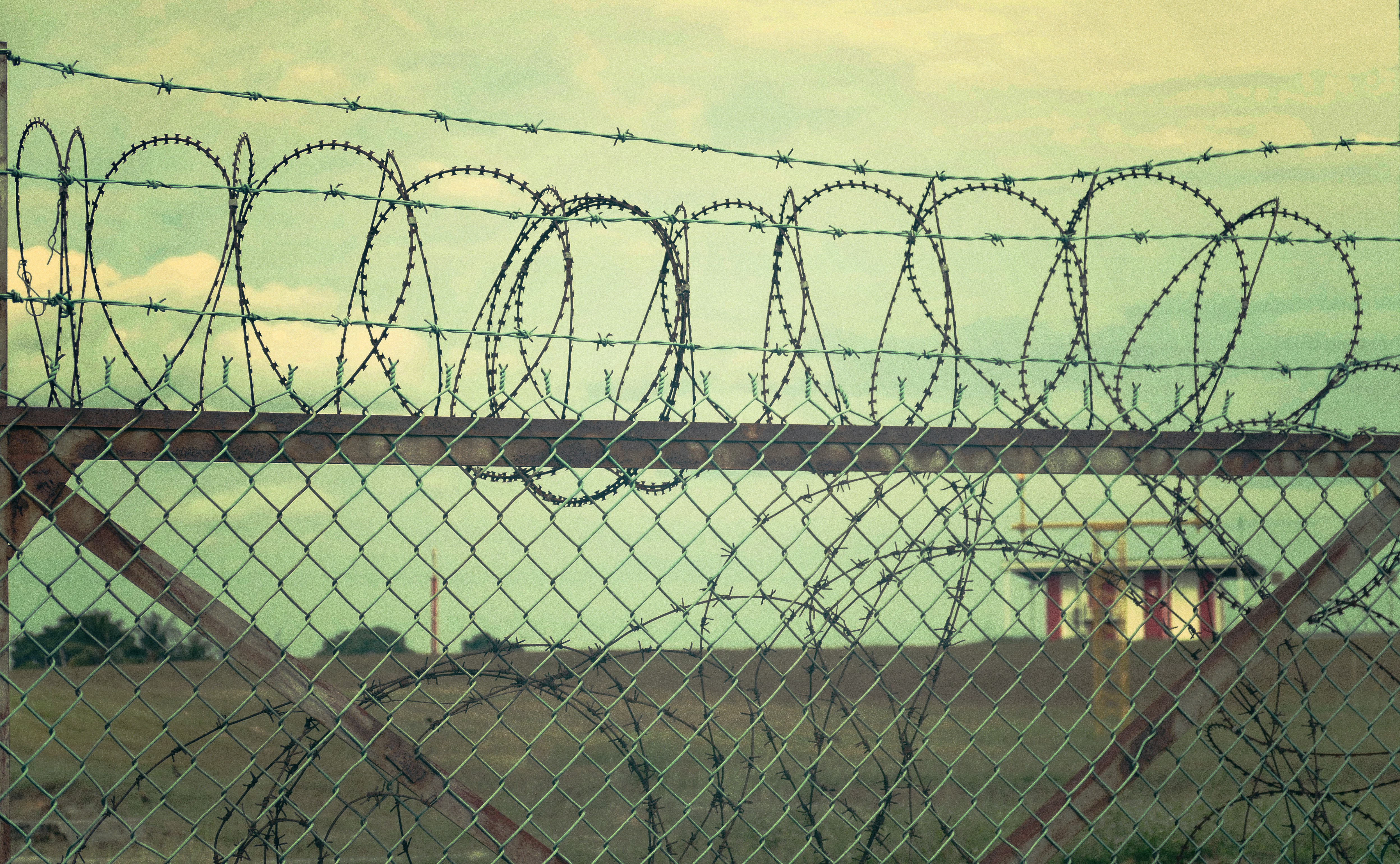 Free Unsplash photo from qinghill