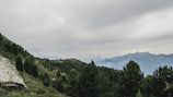 green trees on mountain under cloudy sky during daytime