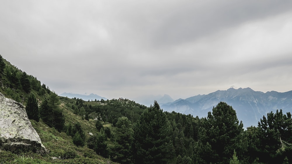 green trees on mountain under cloudy sky during daytime