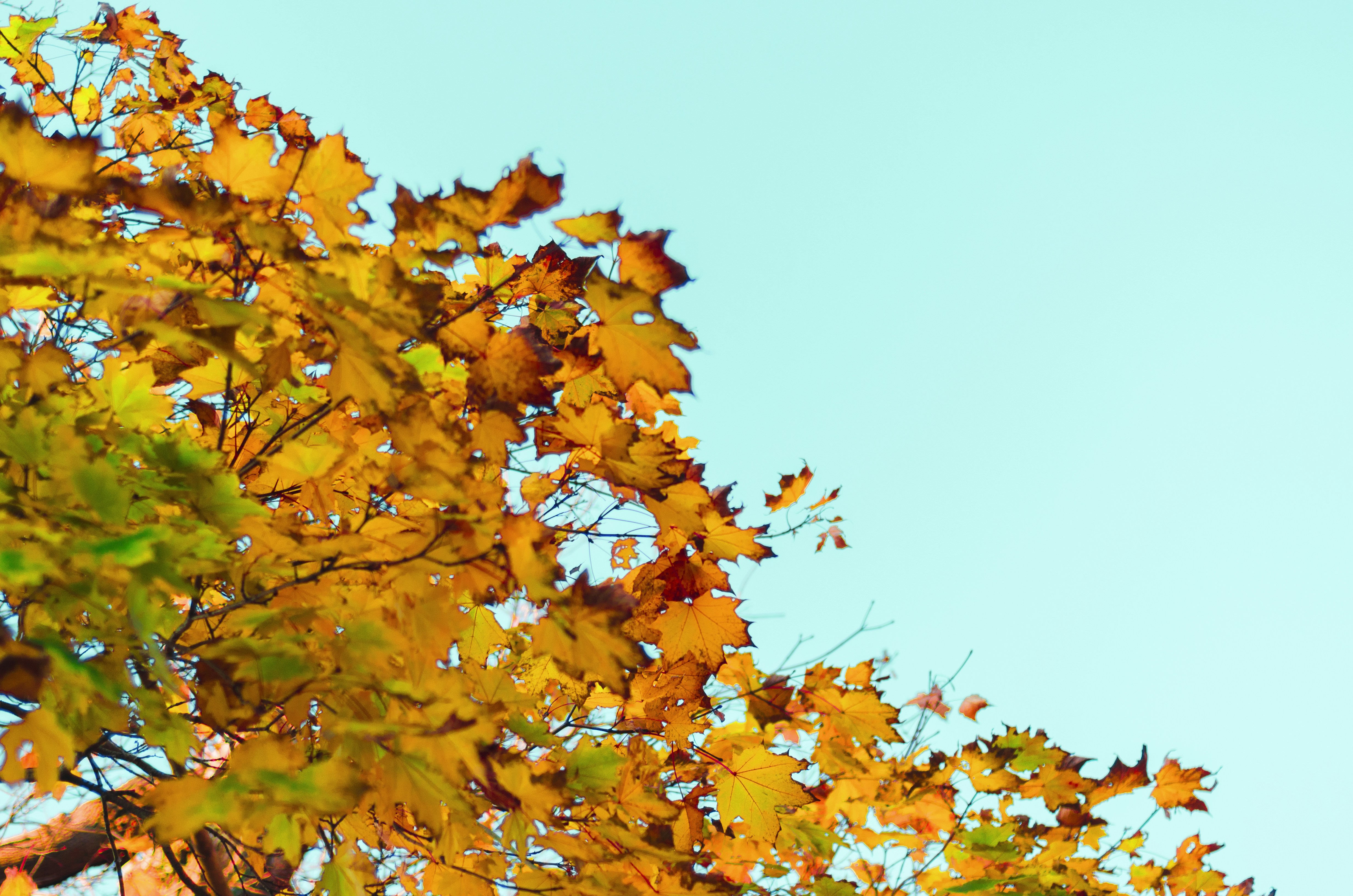 Free Unsplash photo from Qusai Akoud