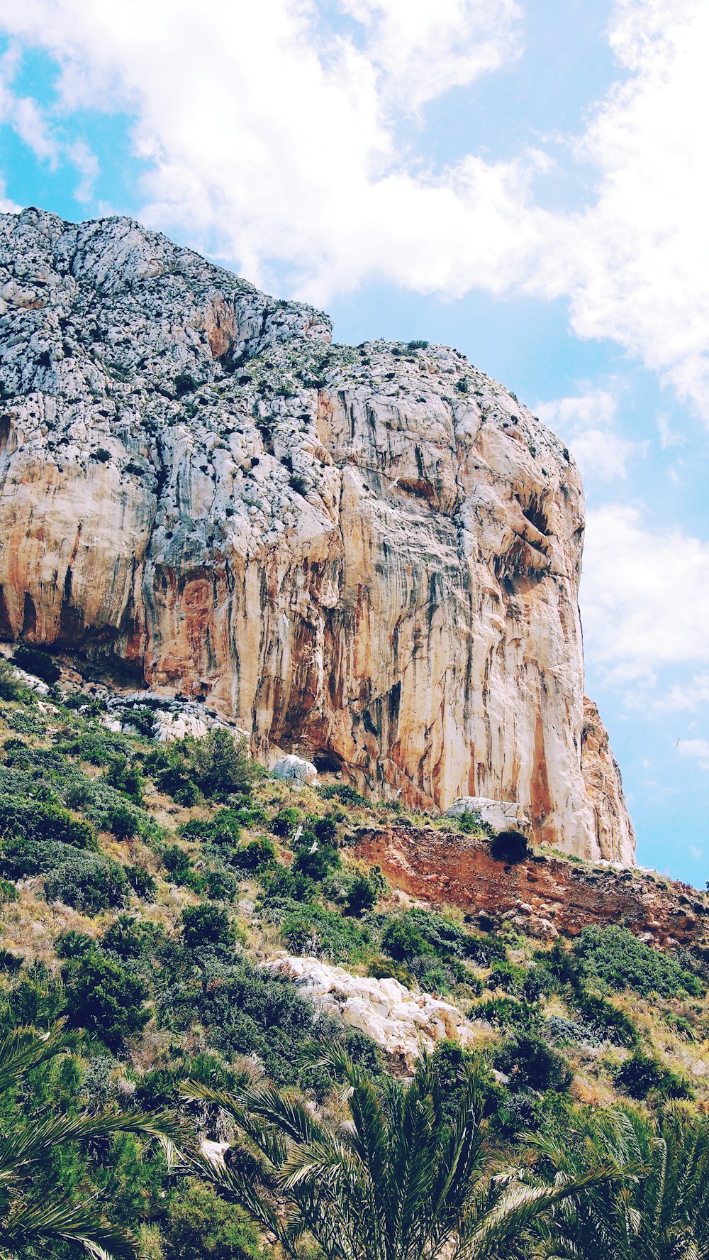 Fotografía de paisaje de montaña