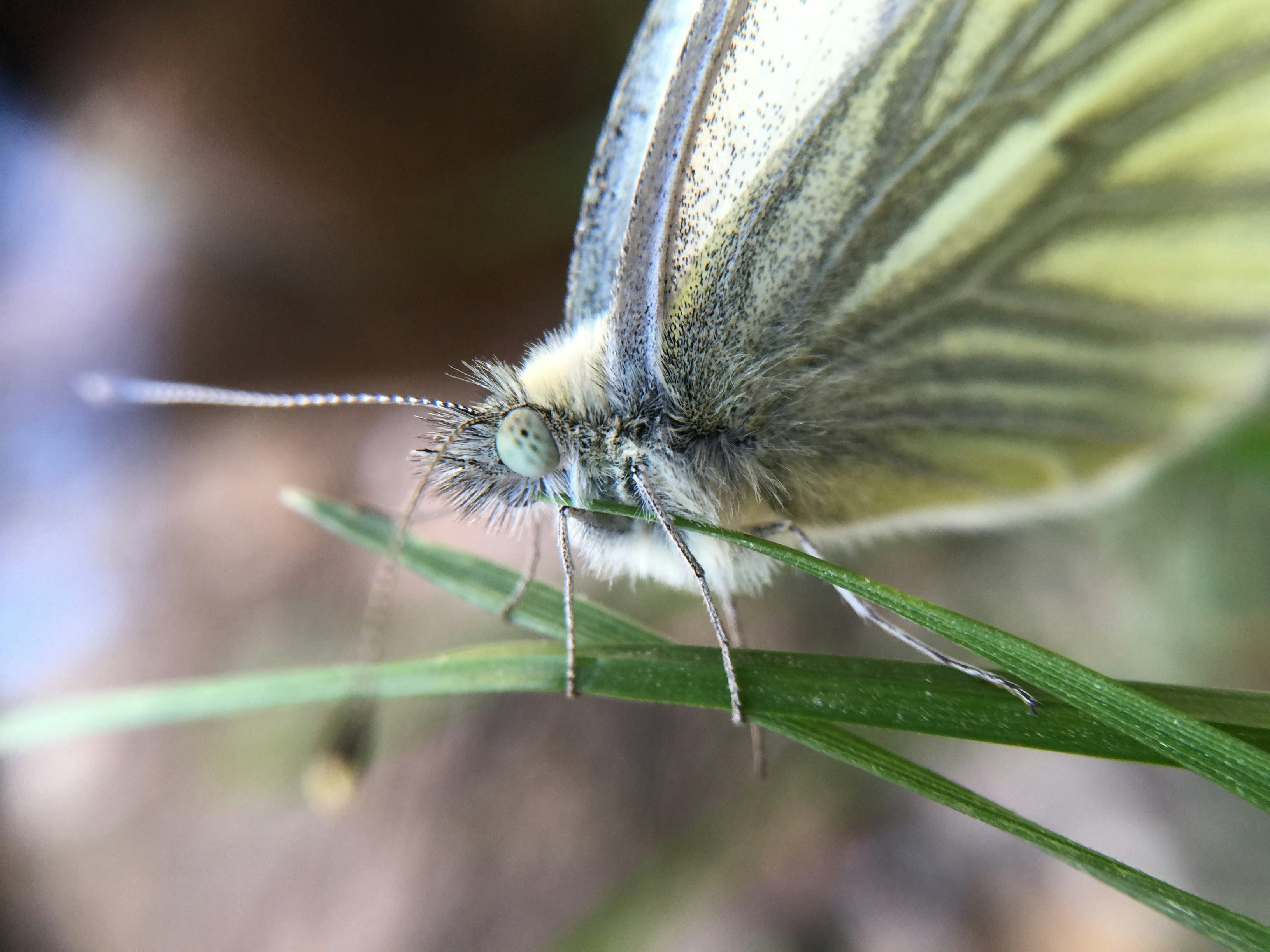 Free Unsplash photo from Dan Paul