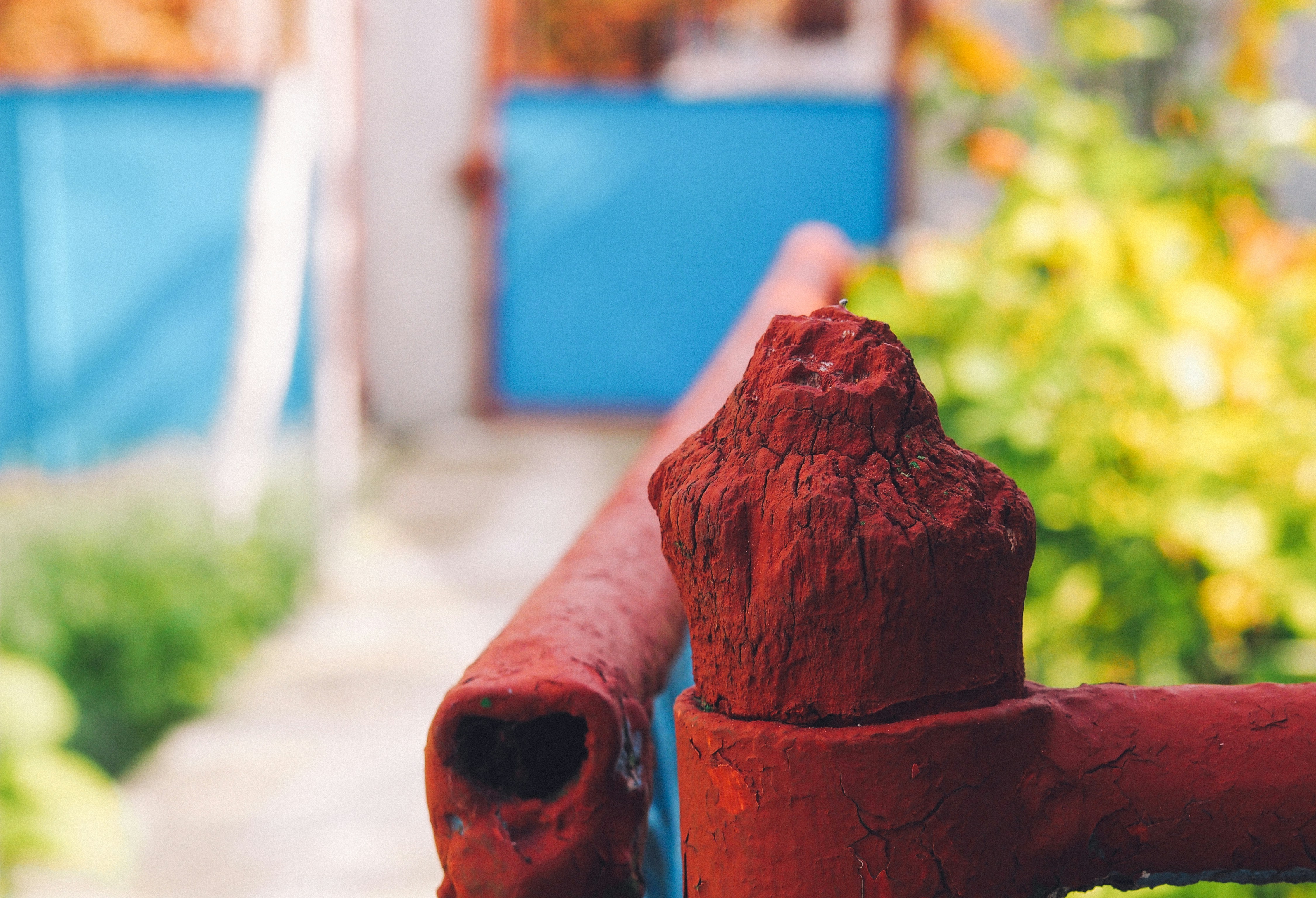 Free Unsplash photo from Alexandru Loghin