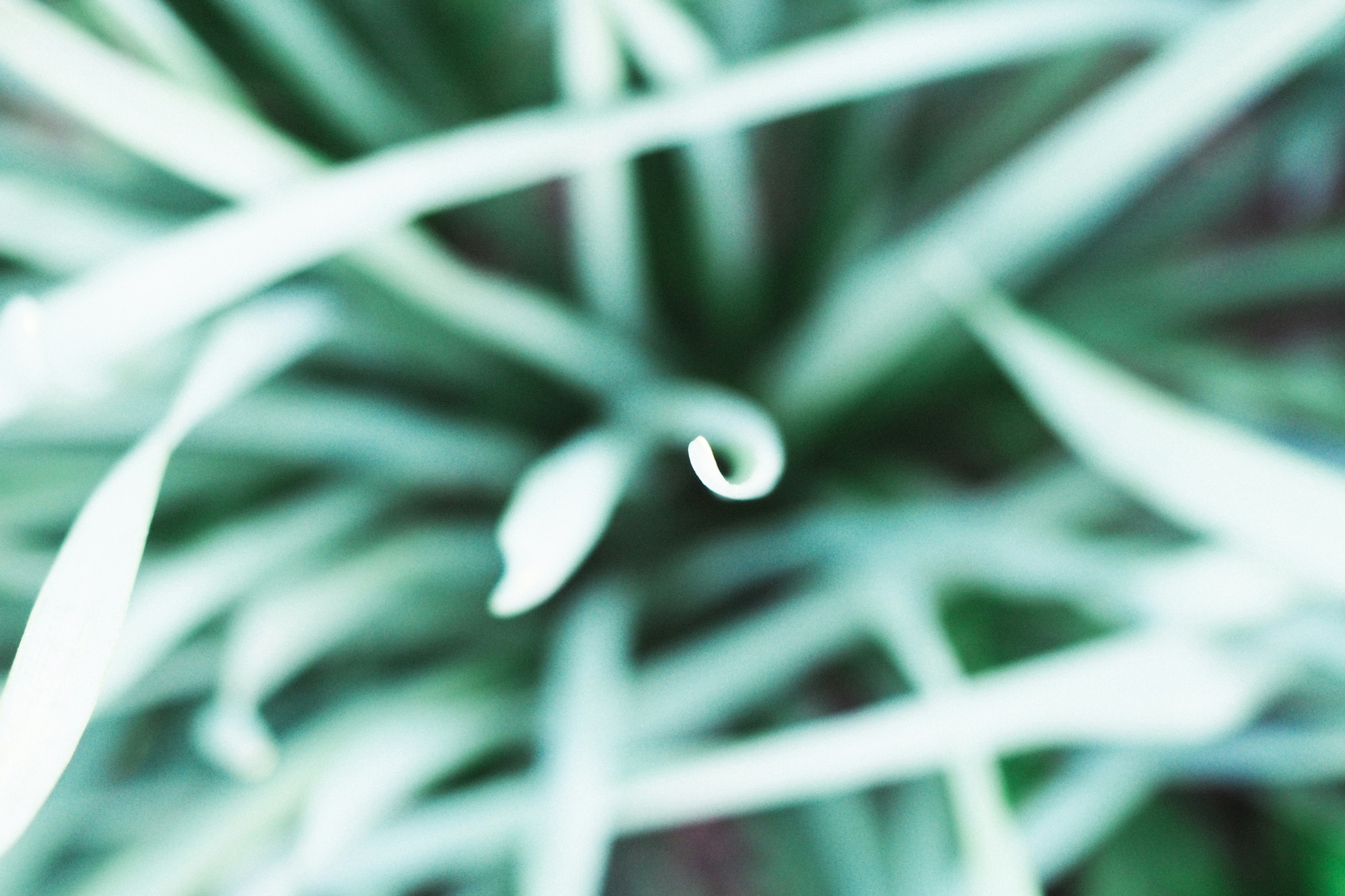 Free Unsplash photo from Alexandru Loghin