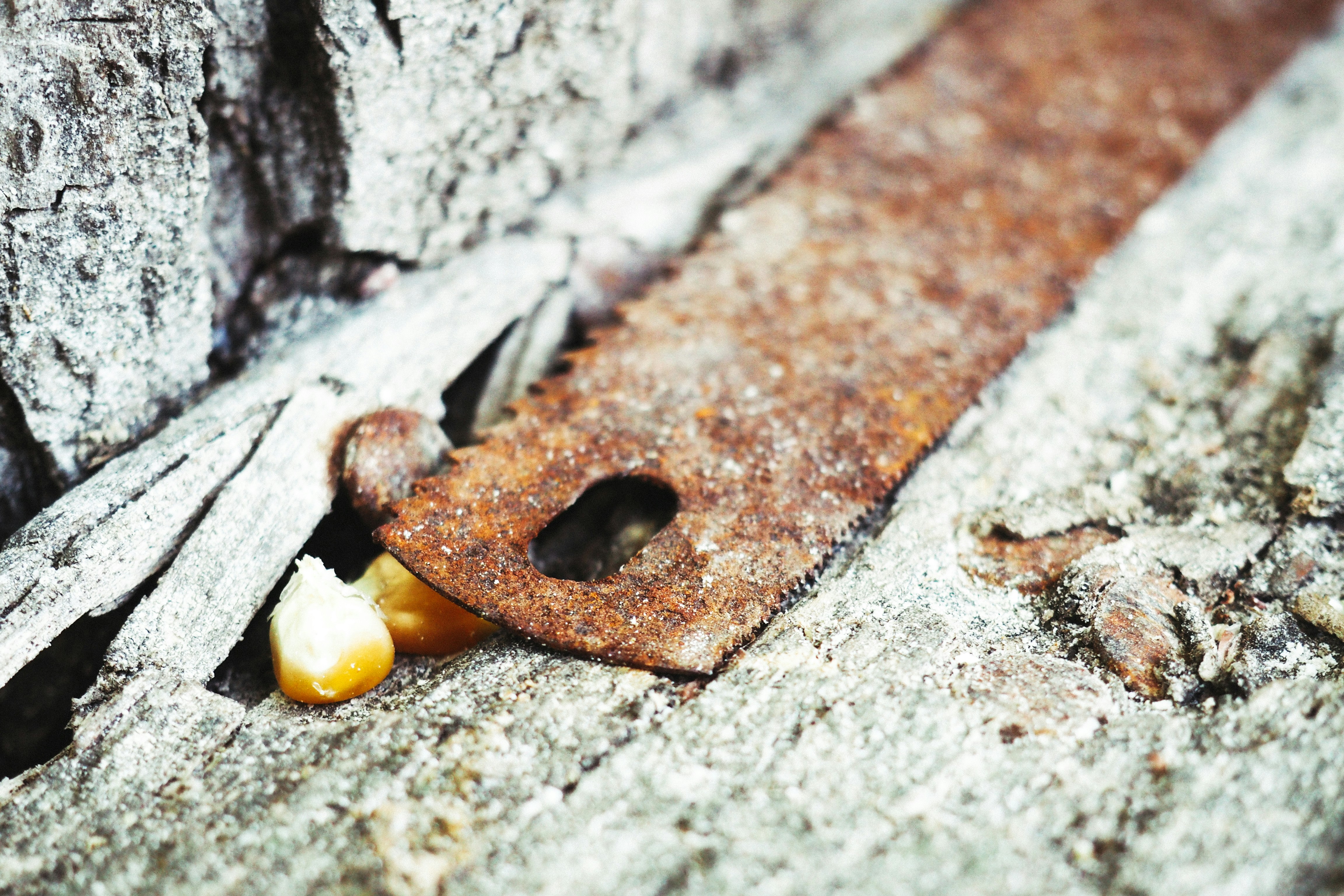 Free Unsplash photo from Alexandru Loghin