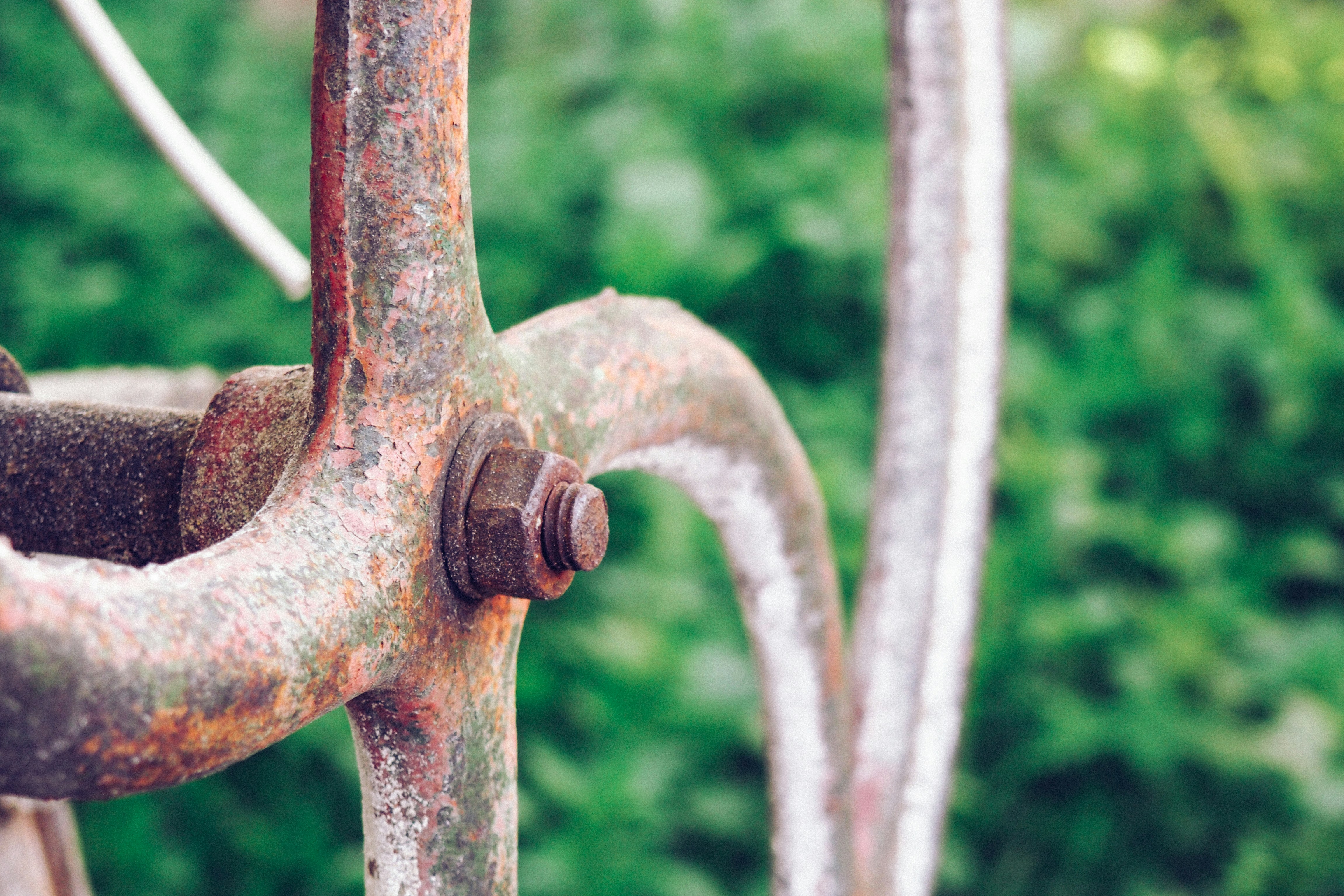 Free Unsplash photo from Alexandru Loghin