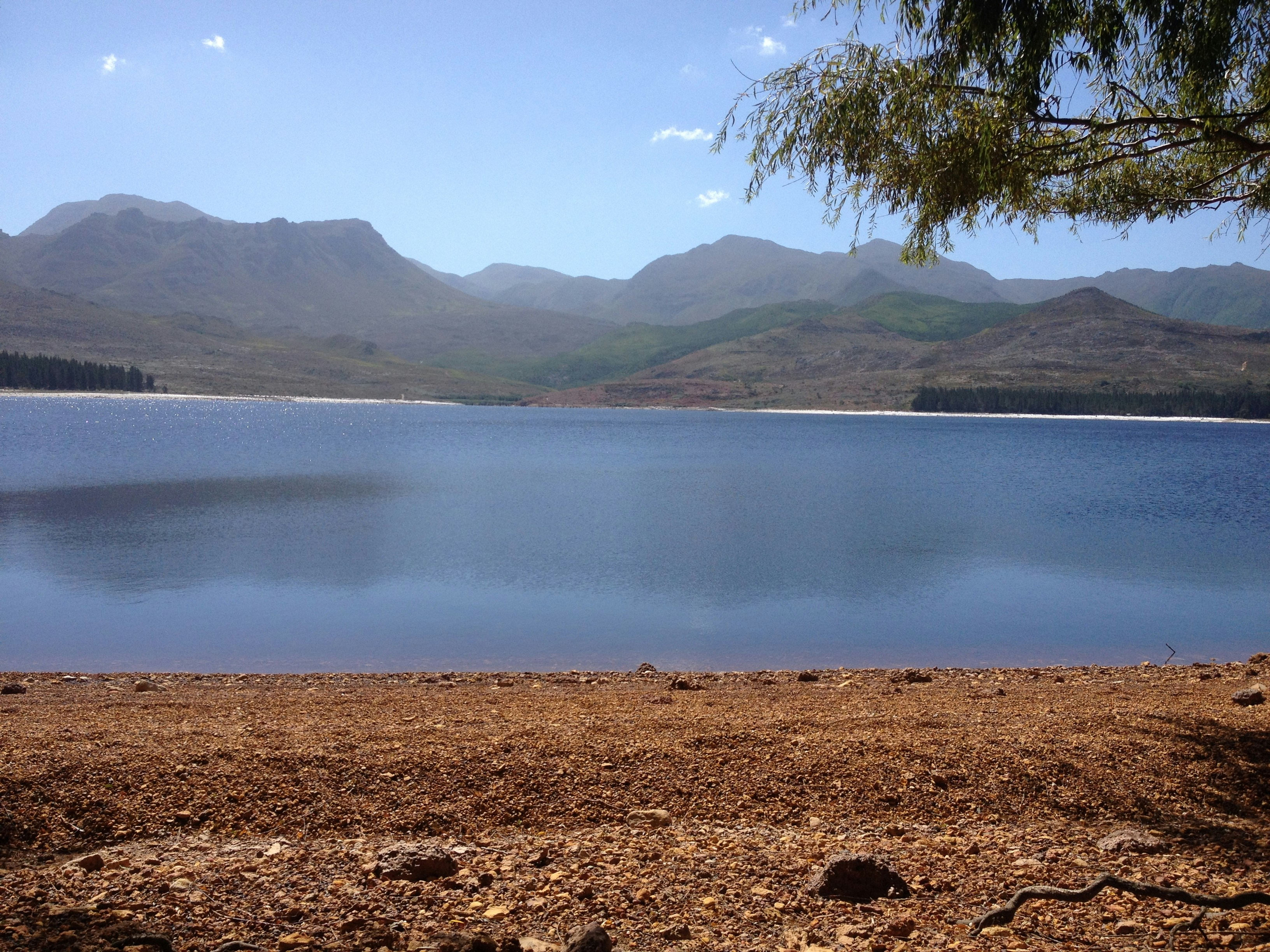 Free Unsplash photo from Susan de Wit