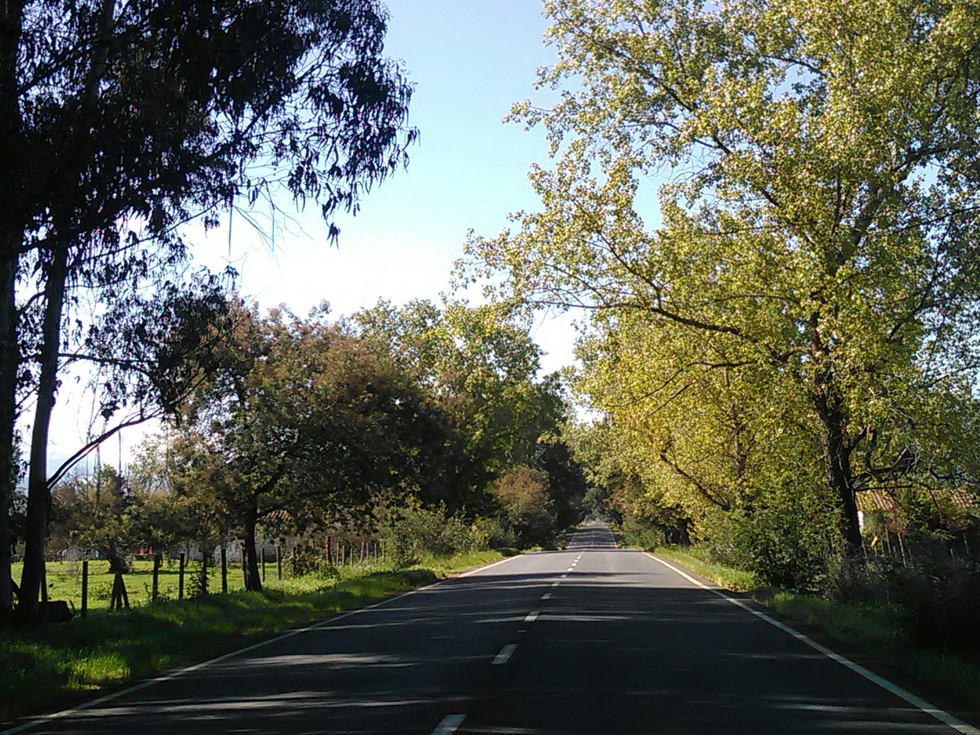 Free Unsplash photo from Alejandro Pando