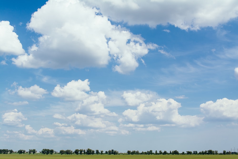 grass field at daytime