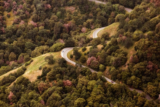 aerial photography of concrete road in forest in California United States