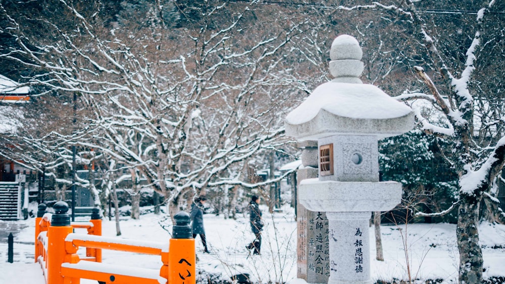 foto di uomo che cammina accanto al tronco d'albero