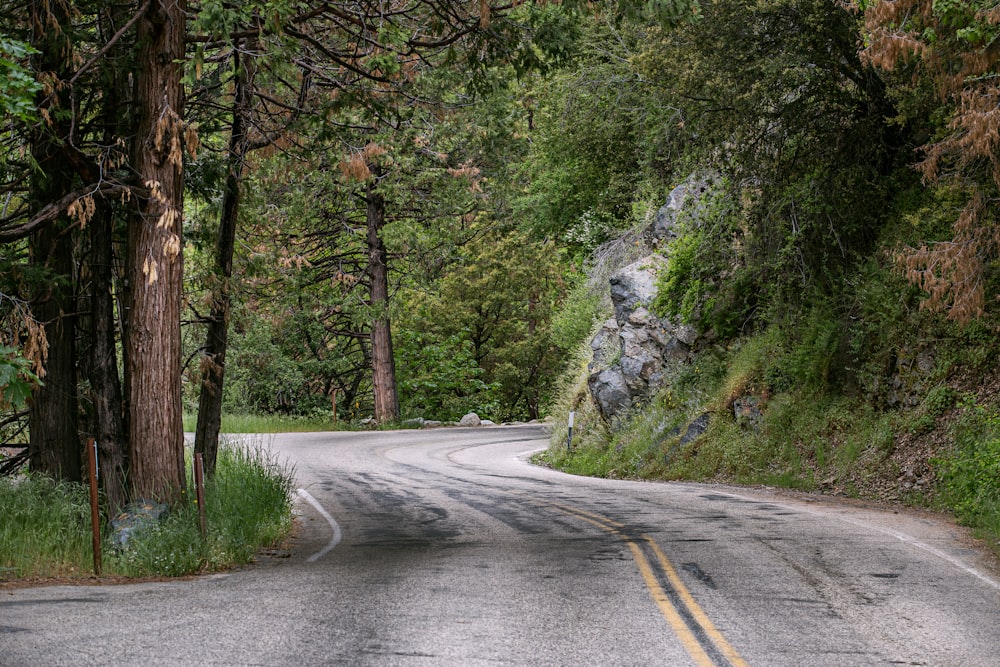 asphalt road in between tres