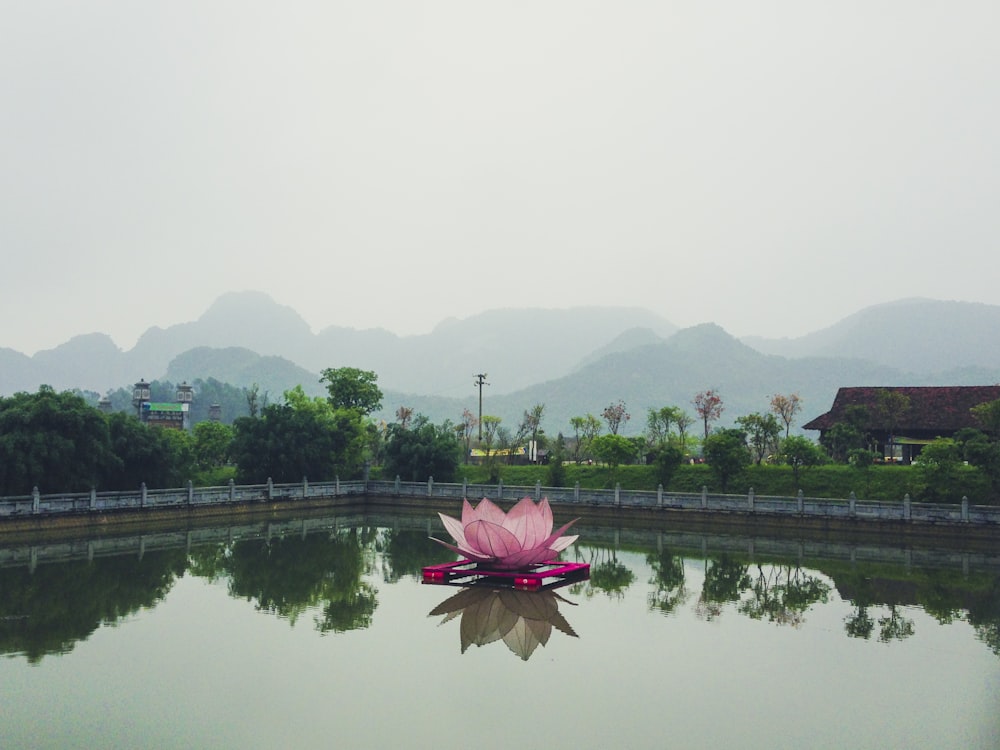 calm body of water at daytime