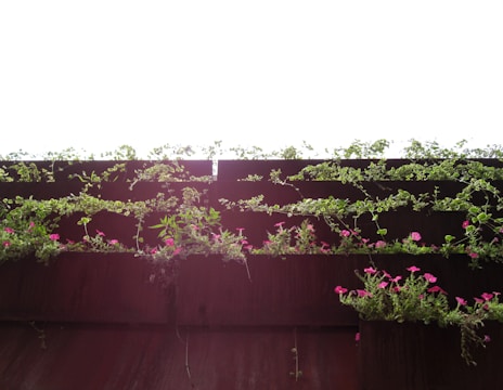 A vertical garden with lush green vines and small bright pink flowers growing on a series of dark wooden shelves. The contrast between the vibrant plants and the rich brown wood is highlighted against a bright white sky.