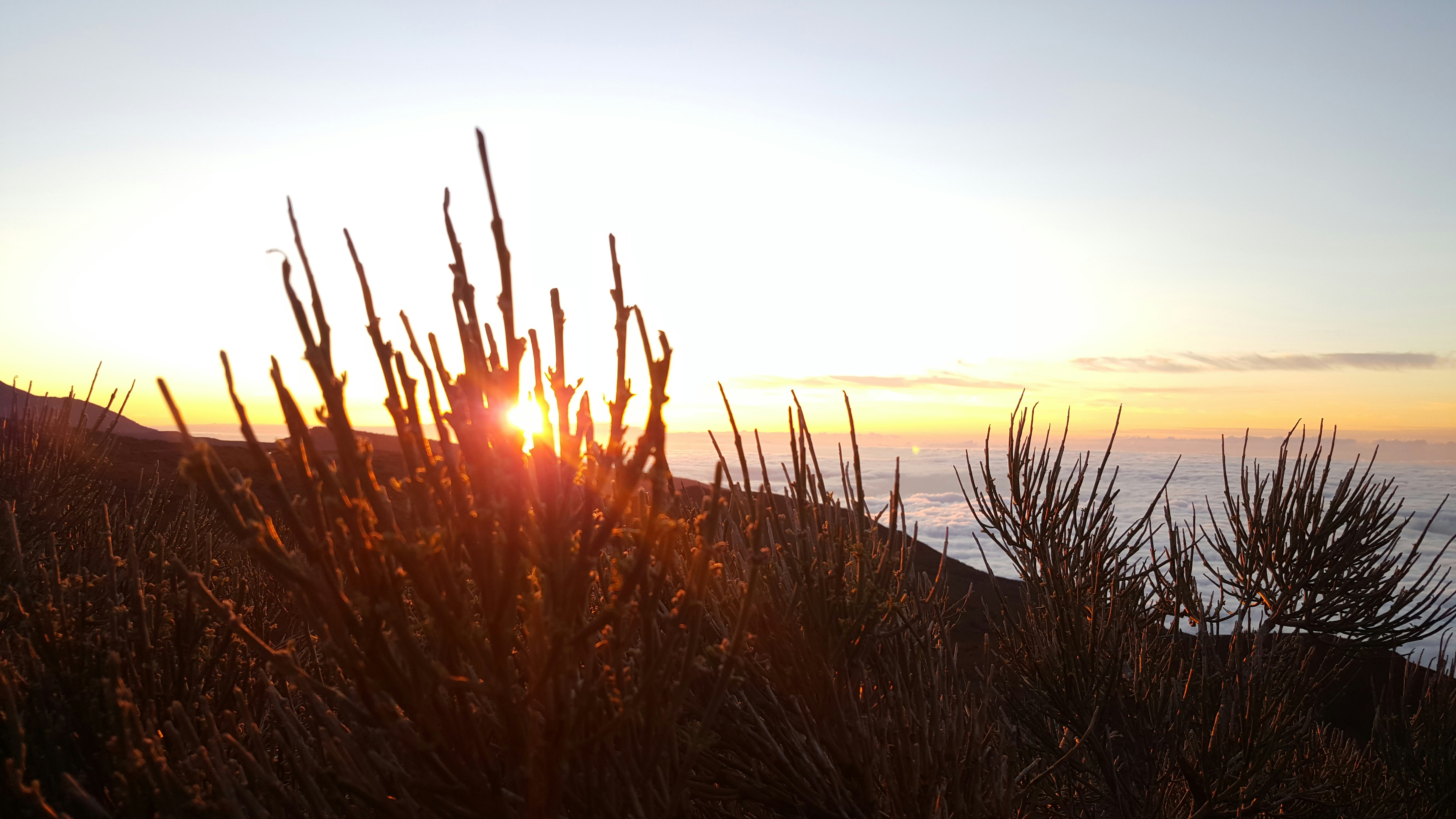 Free Unsplash photo from Roel Oosterwijk