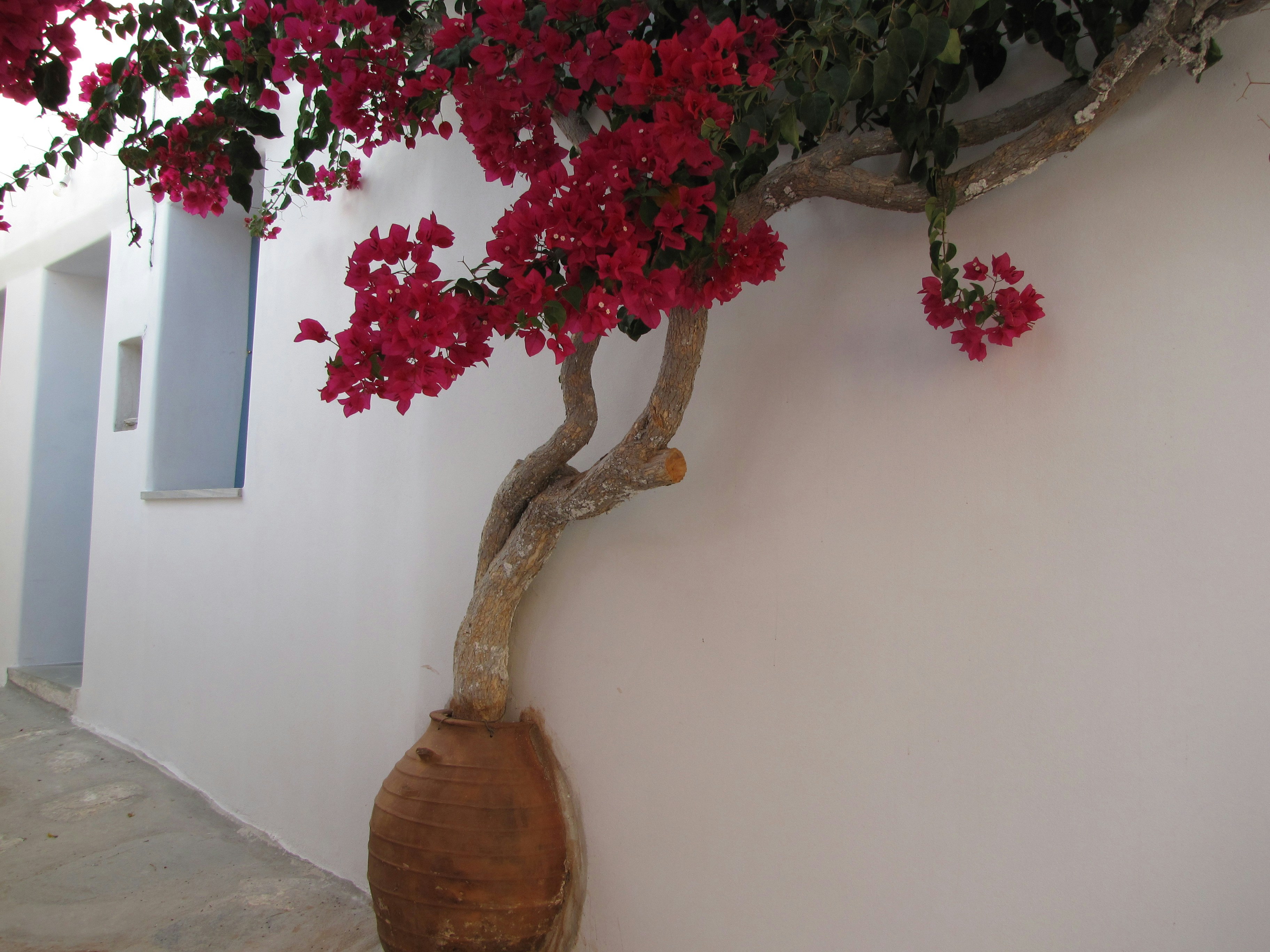 Free Unsplash photo from Kostas Kaisidis