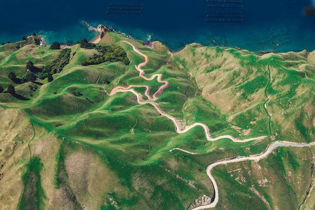 travelers stories about Coast in D'Urville Island, New Zealand