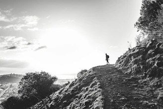 A traveler consulting a map with a backpack and a bright sunrise in the background.