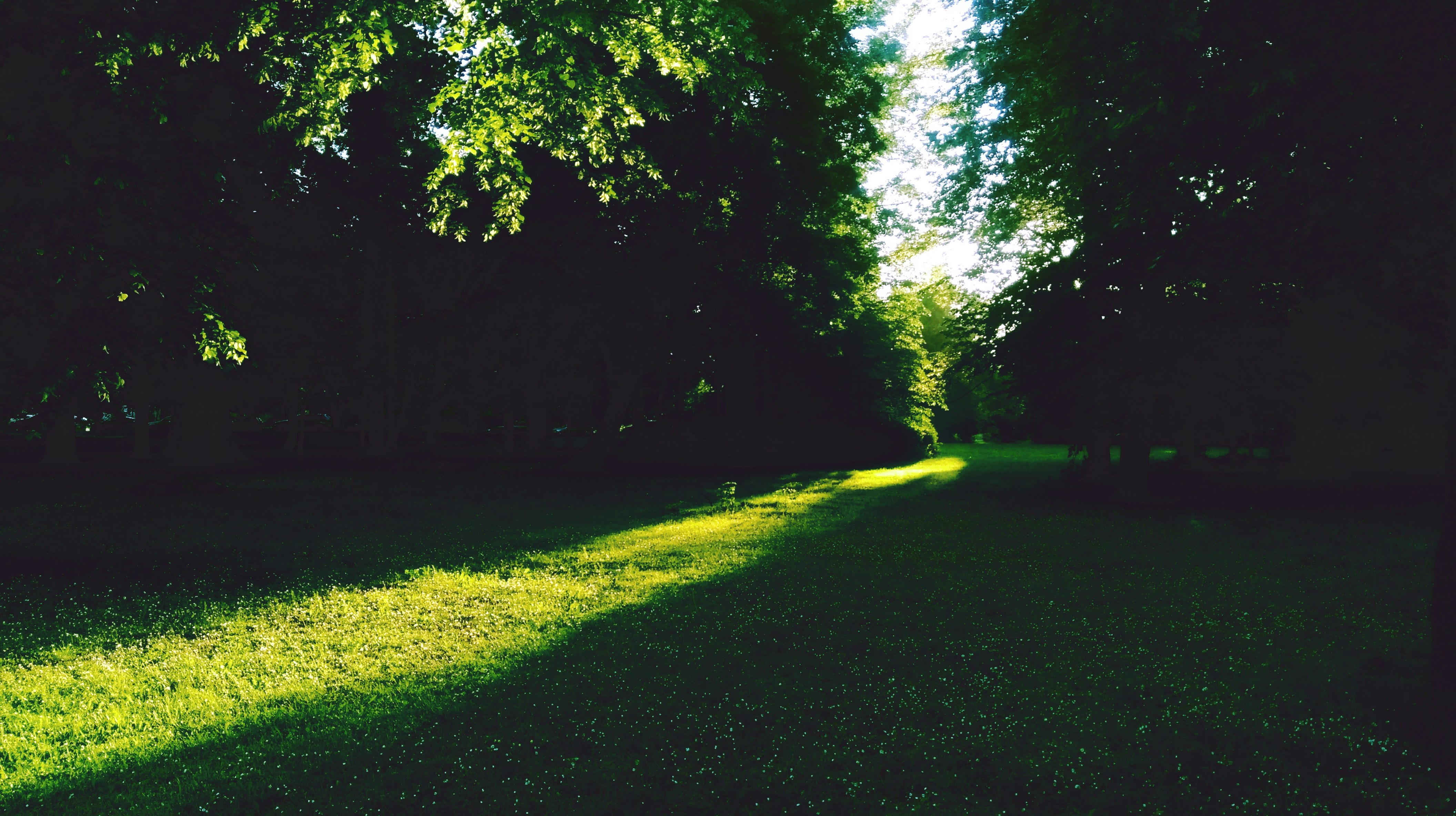 Free Unsplash photo from Adnan Hazz