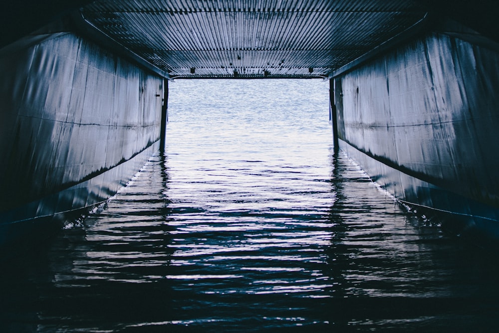Foto en escala de grises de un puente sobre el mar