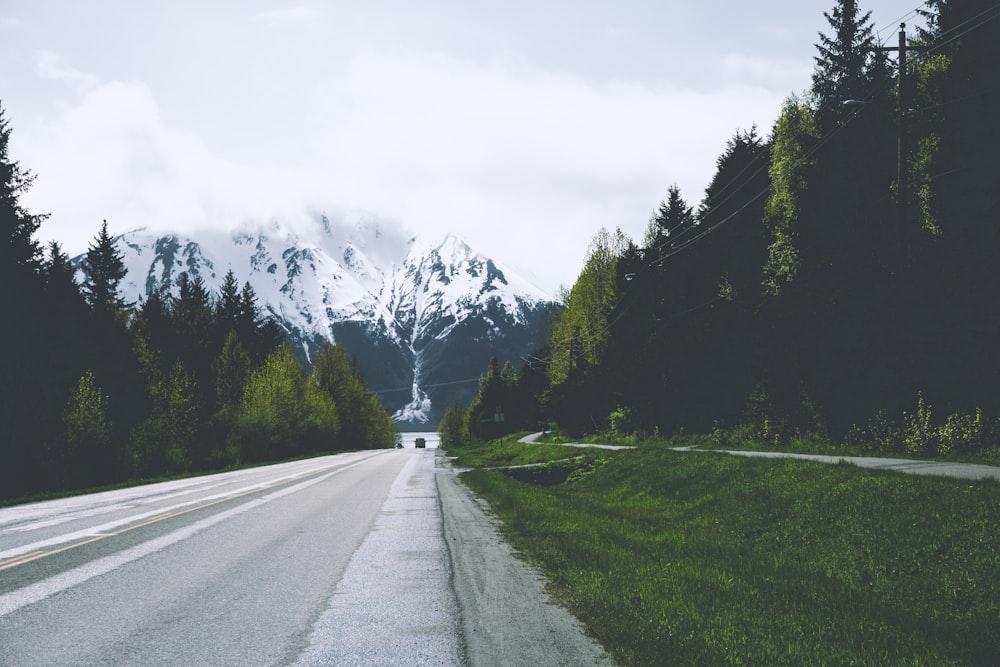 Foto einer schmalen Betonstraße in der Nähe eines Waldes während des Tages