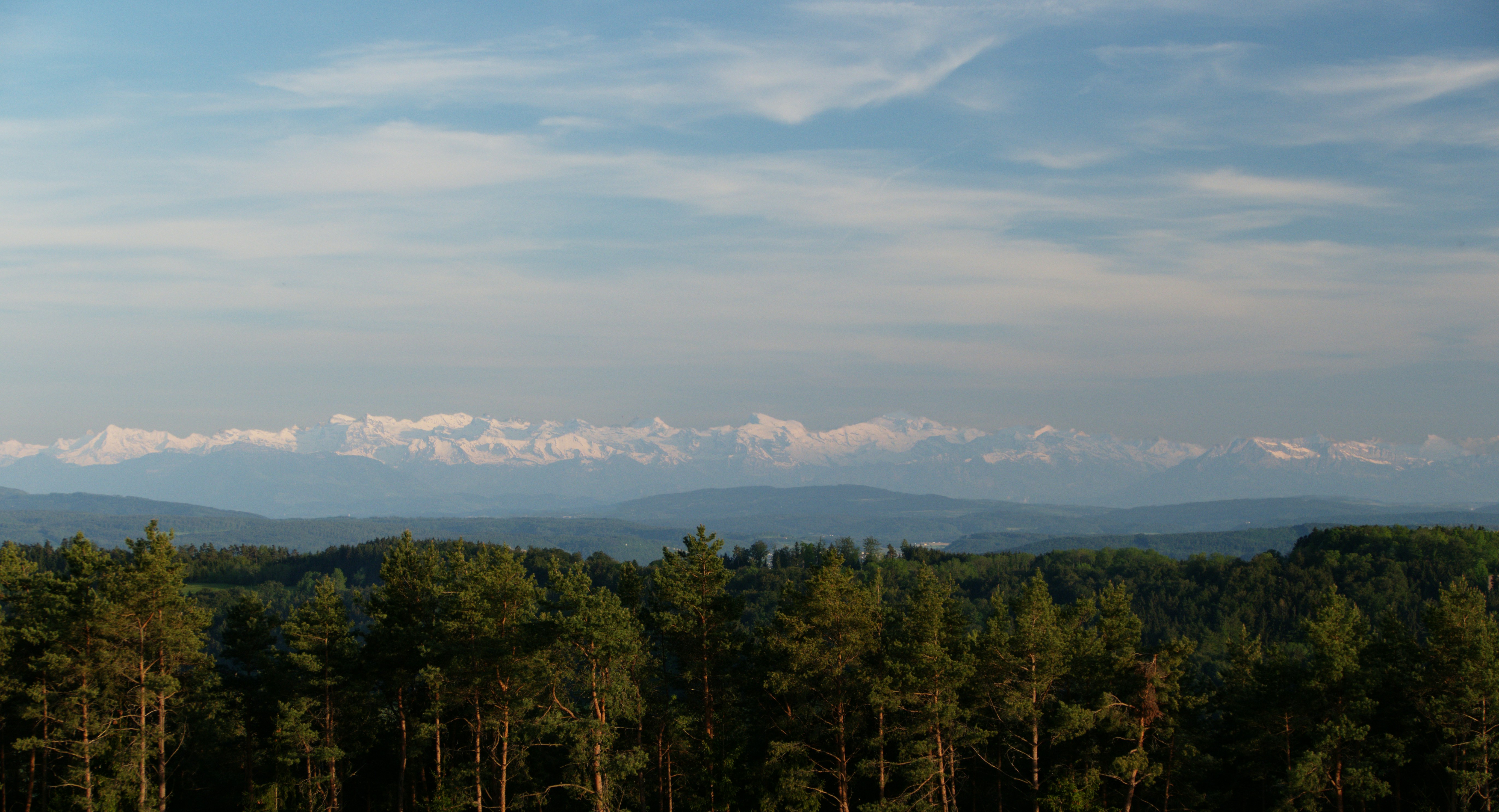 Free Unsplash photo from Rick Tap