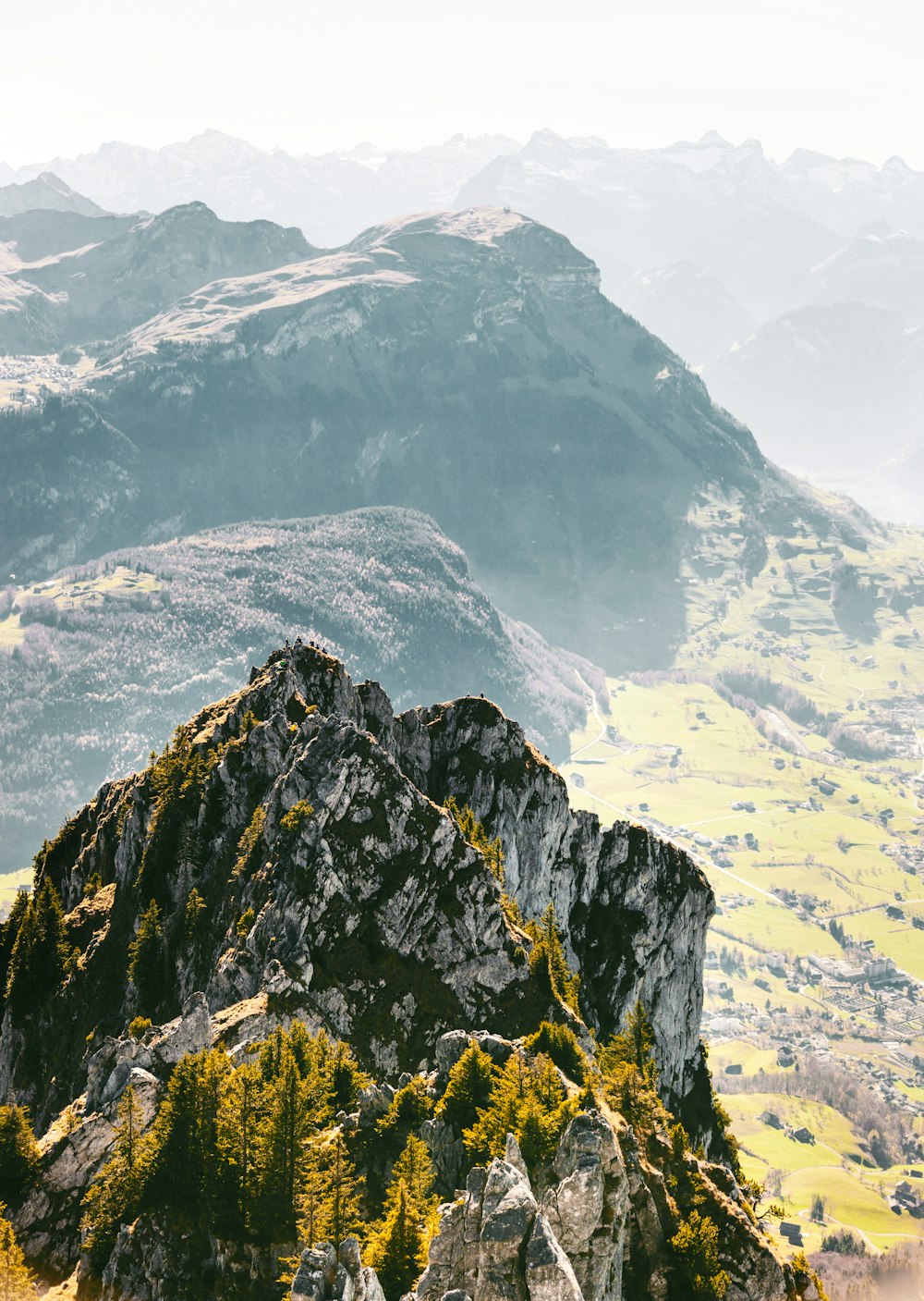 black and white rugged mountain with green leafed trees at daytime