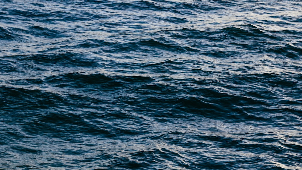 Photographie de vagues d’eau
