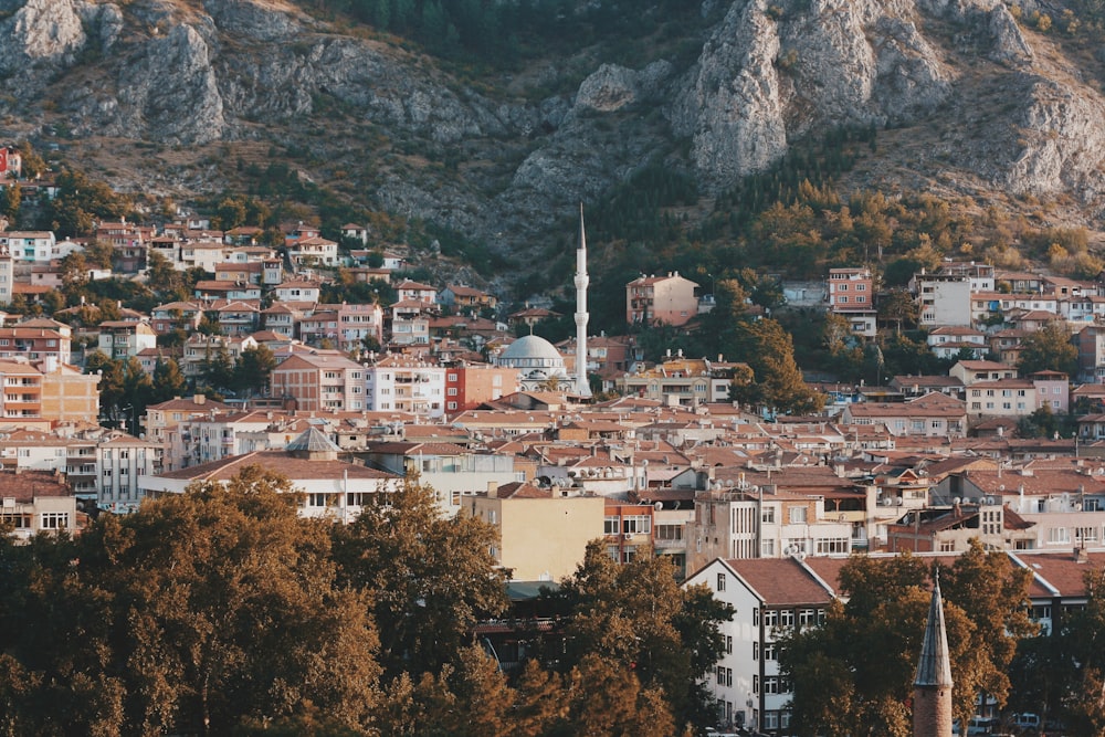 skyline photography of white buildings