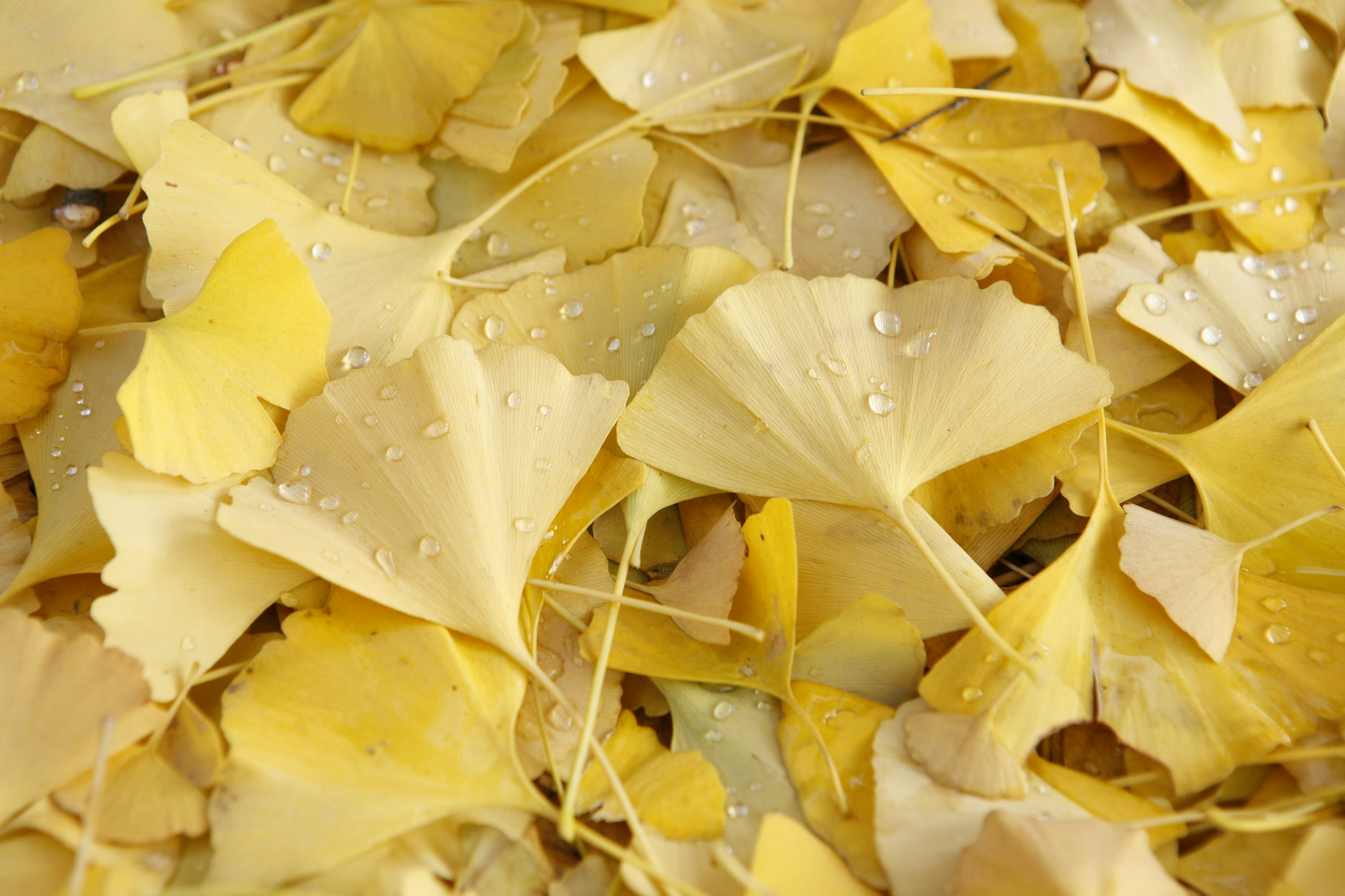 Free Unsplash photo from Daniel Kim