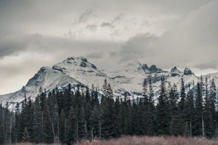 mountain alp under cloudy sky