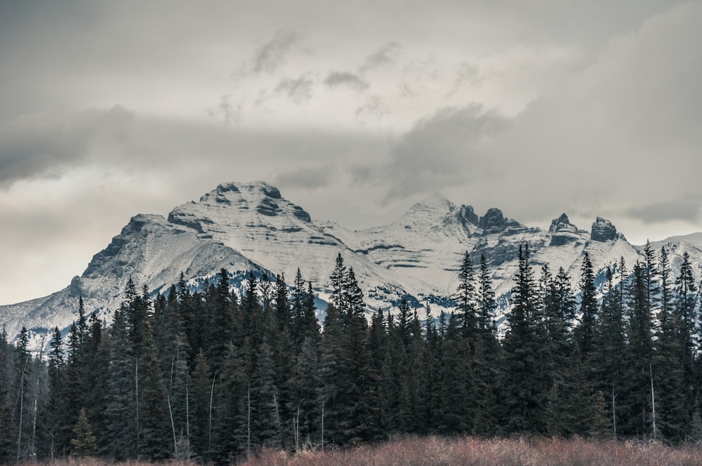 mountain alp under cloudy sky