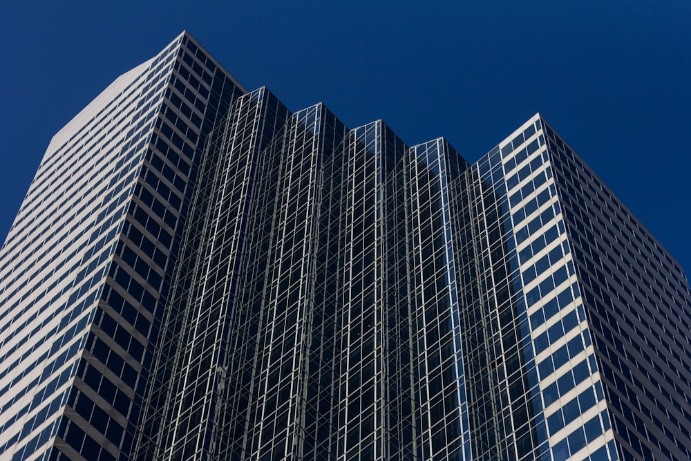 low angle photo of curtain wall building at daytime